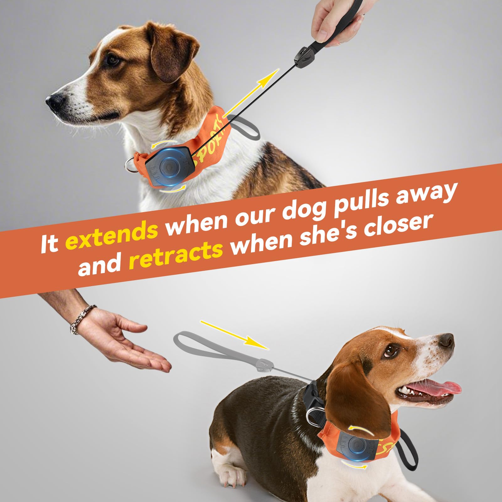 2 In 1 Dog Collar With Retractable Dog Collar And Leash Adjustable Collars For Small To Medium Dogs