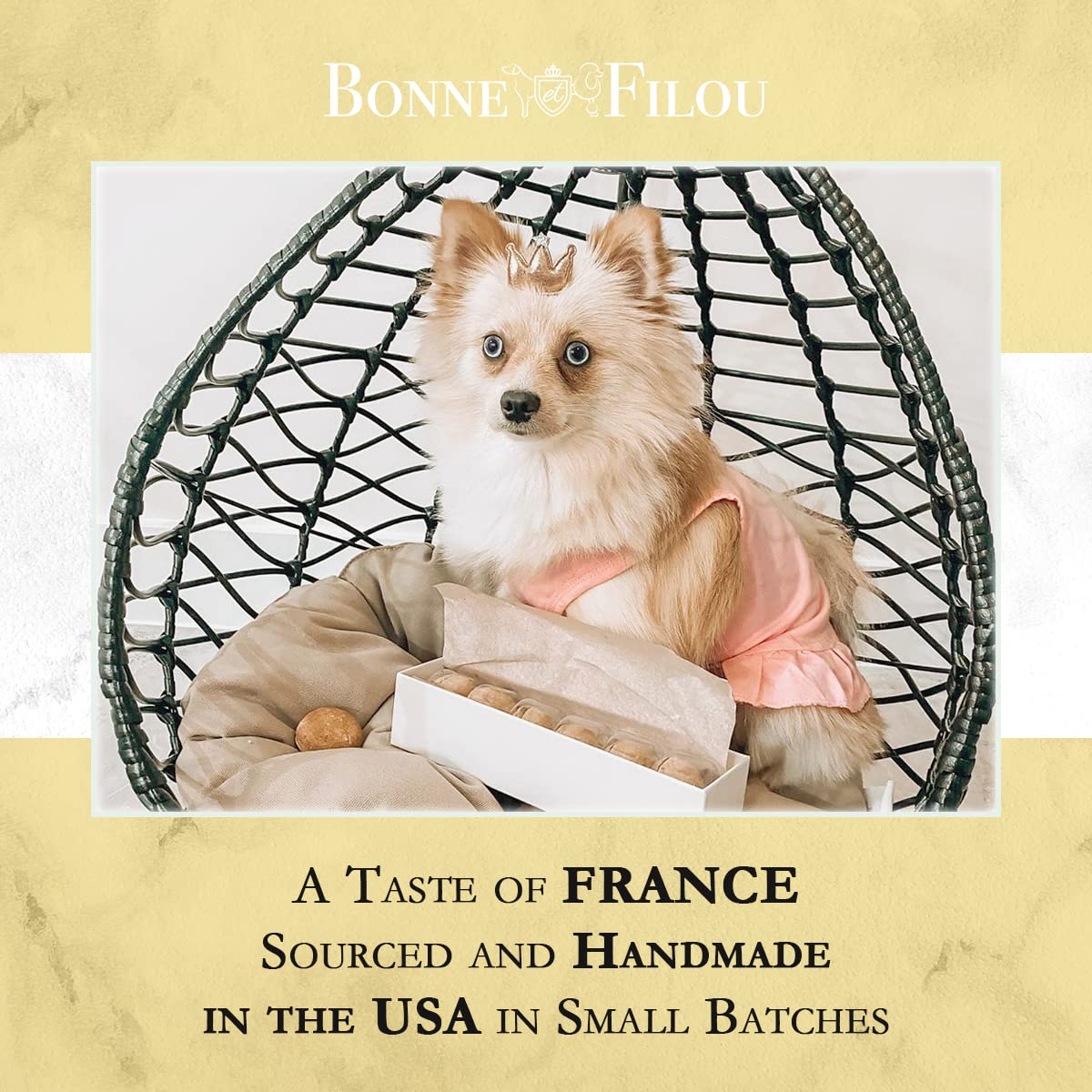 Bonne et Filou Dog Treats Creme Brulee Cupcakes - Gourmet Macaron Cakes, 40 Count Bulk Pack - Healthy & Delicious Human Grade Sn