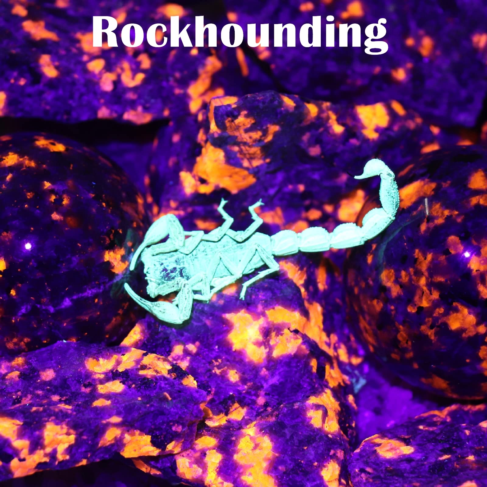 LUMENSHOOTER S5 UV Flashlight, Black Light Flashlight with 5 LEDs, for UV Resin Curing, Rockhounding, Pet Urine Detecting, Scorp