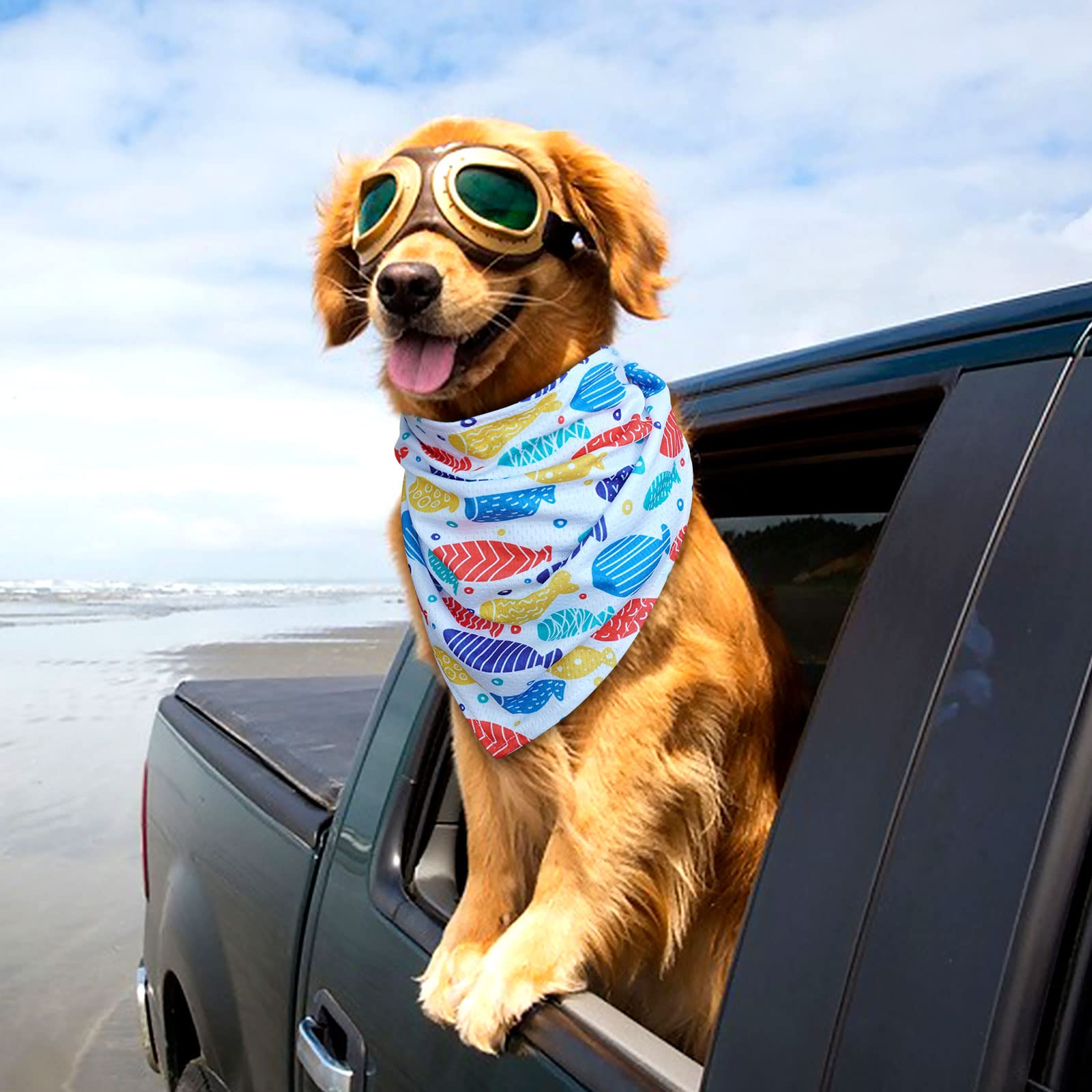 Cyeollo 2 Pack Dog Cooling Bandanas Summer Chill Out Pet Bandana Fish Print Breathable Soft Scarf Collar For Small Medium Large