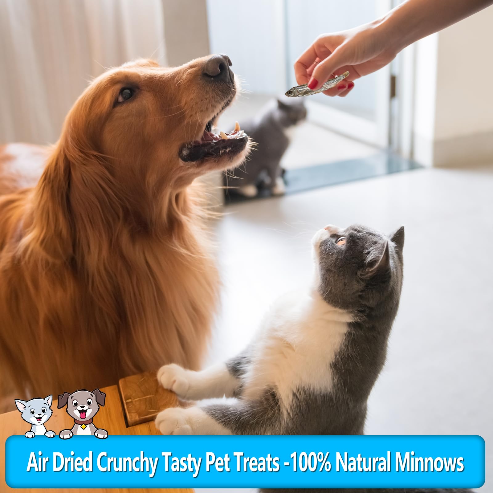 JADINGSFARM 2.5oz Natural Air-Dried Minnows Dog and Cat Treats, Grain-Free, High-Protein, Single-Ingredient Fish Snacks for Trai