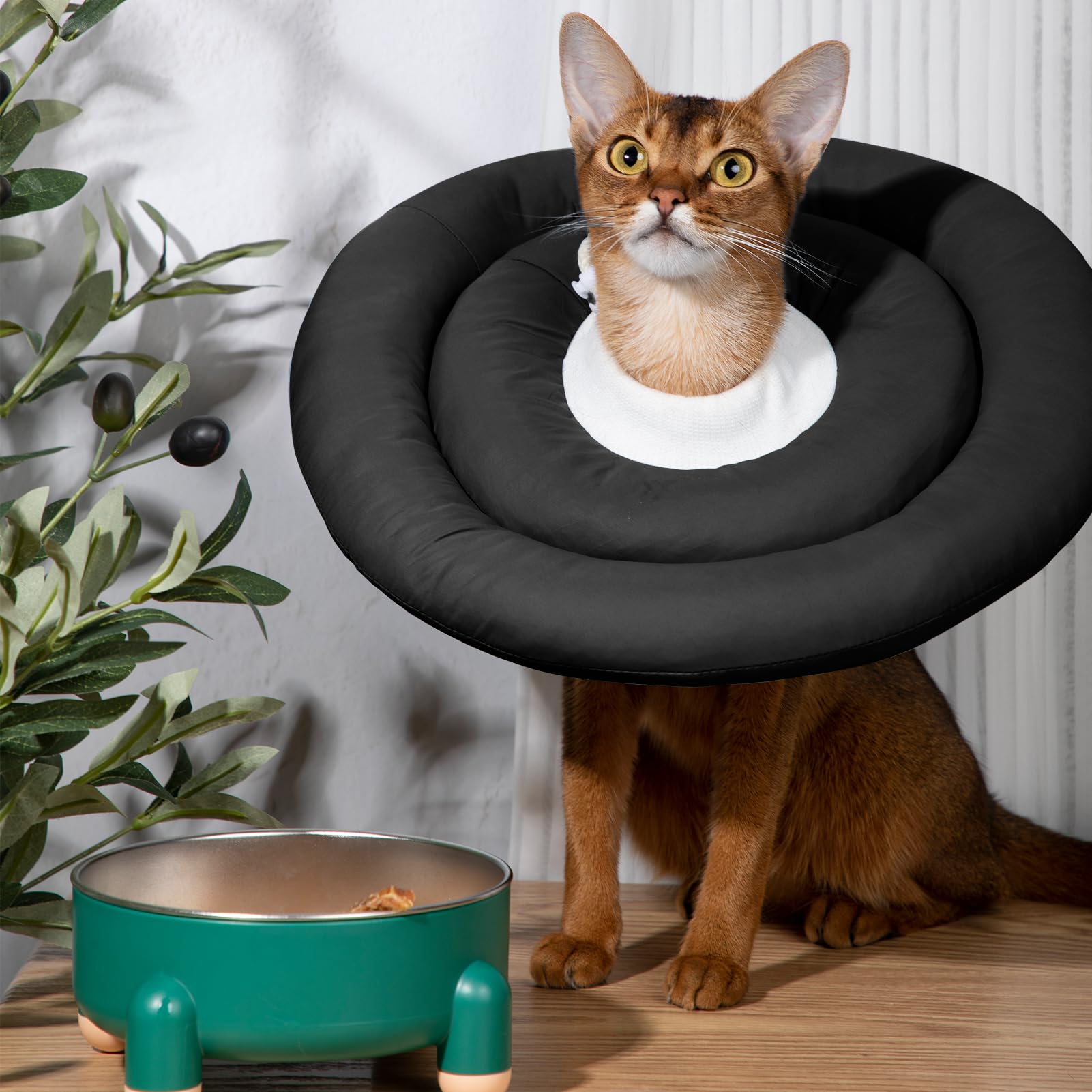 GAGABODY Dog Cones for Small Dogs & Cats, Comfortable Adjustable Soft Dog Cone Alternative After Surgery, Elizabethan Donut Coll