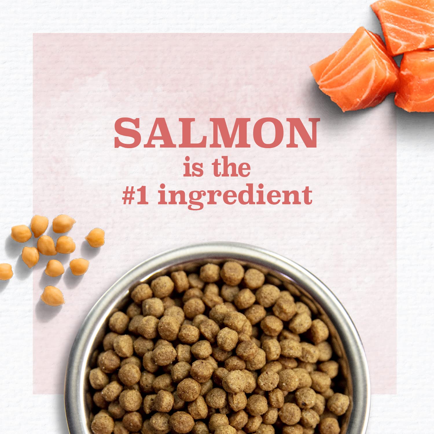 Nutro Limited Ingredient Diet Dry Dog Food, Salmon & Lentils Recipe, 4 lbs.