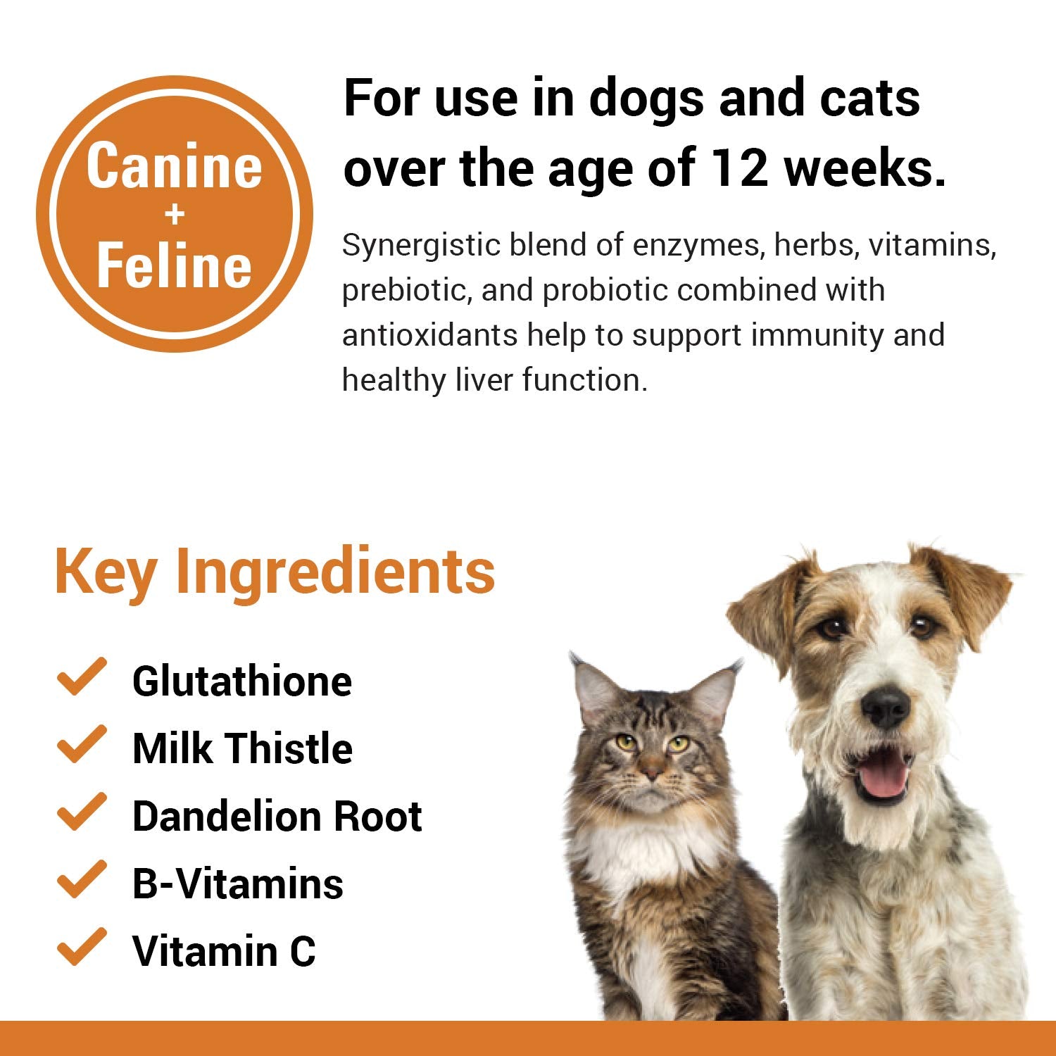 Vet Classics Liver Support Pet Health Supplement for Dogs, Cats - Liver Functions - B-Vitamins, Glutathione, Milk Thistle - Soft