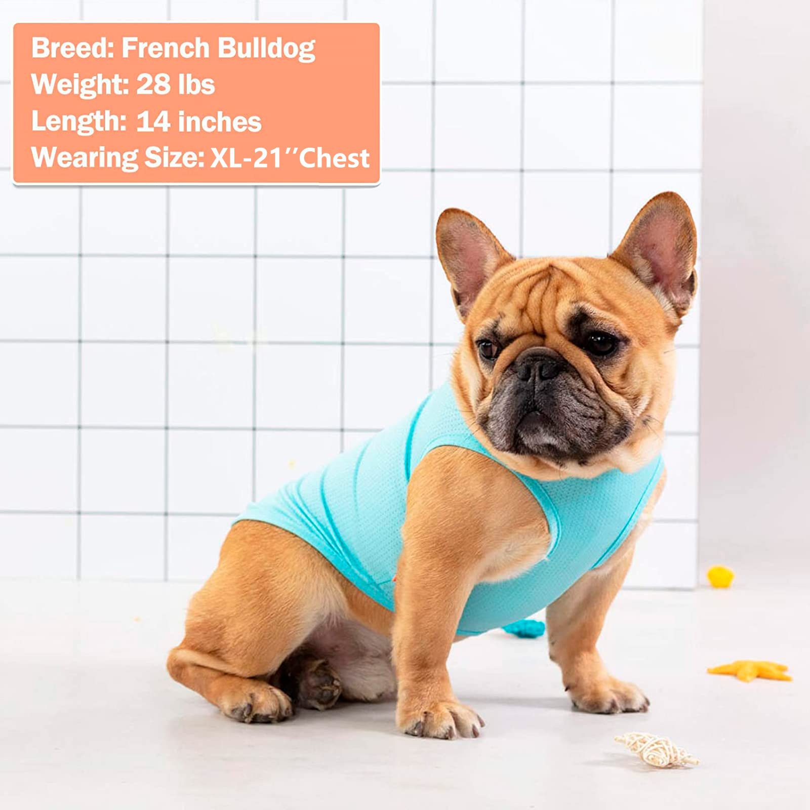 Kyeese 2 Pack Dogs Shirts Breathable Dog T-Shirts Lightweight Soft Tank Top Sleeveless Vest Quick Dry Dog Tee Shirt Dog Apparel (Xx-Large (Pack Of 2), 2Pack (Flamingo+Blue) (A))