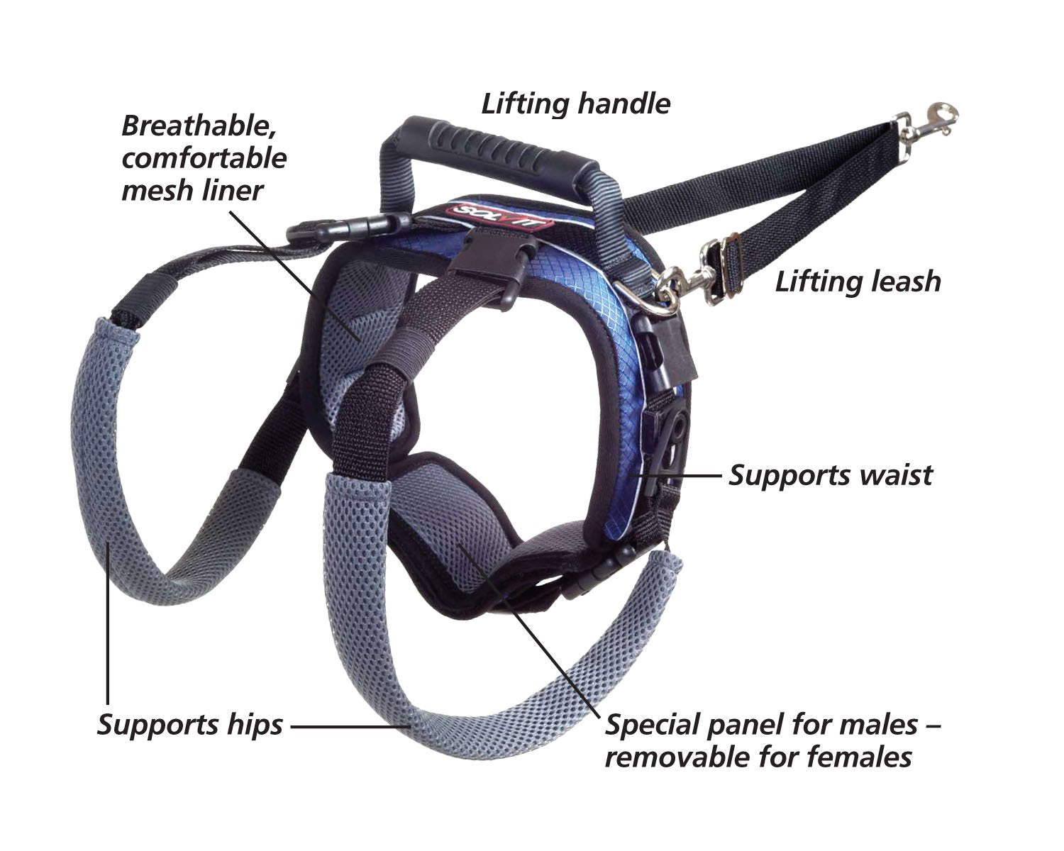 Petsafe Carelift Rear Support Harness - Lifting Aid With Handle And Shoulder Strap - Fits Waist Measuring 27-37 Inches, Dog Weig