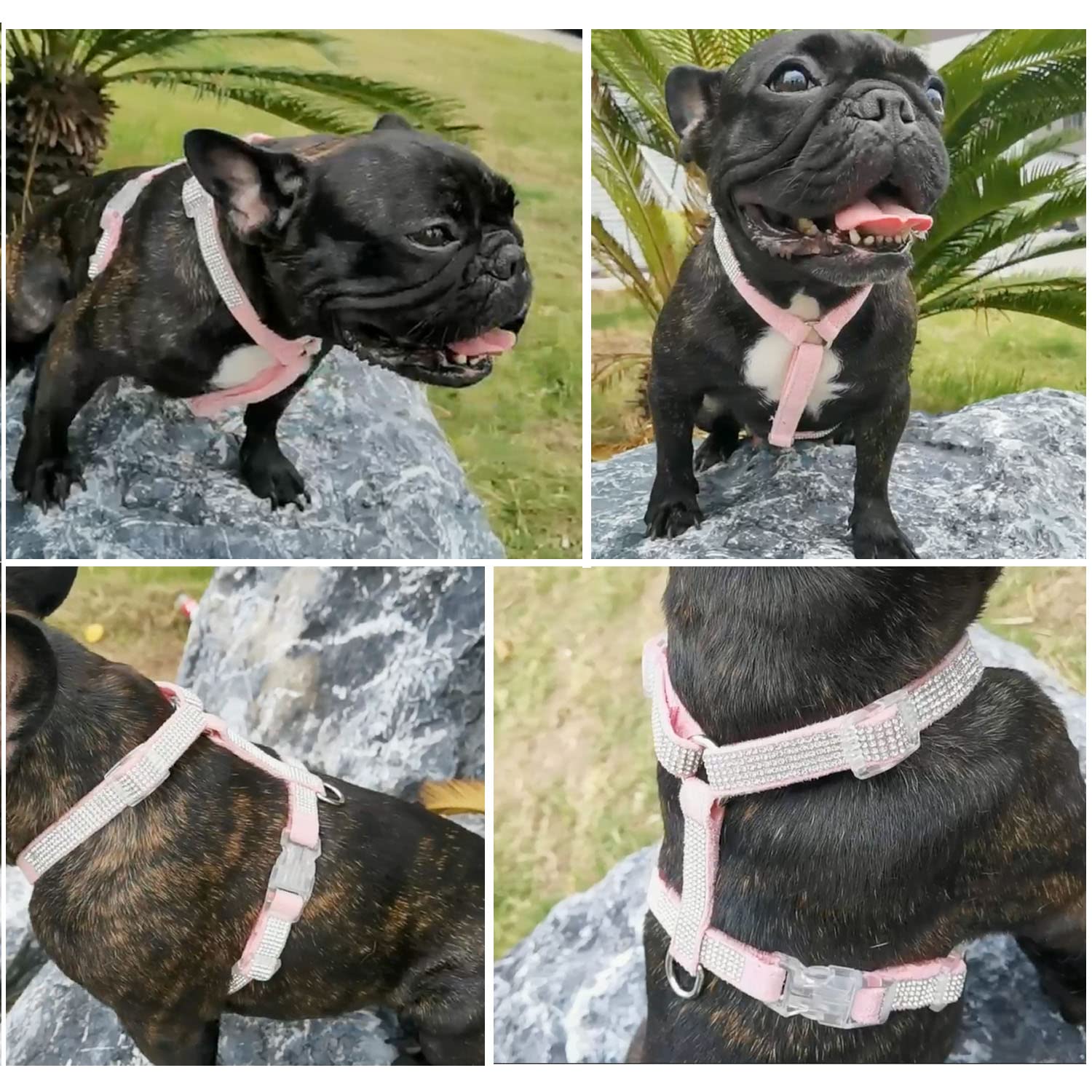 Harikaji Dog Reflective Rhinestone Harness, No Pull Adjustable D-Ring Harness Walking Harness For Small Meduim Large Dog(Black,X