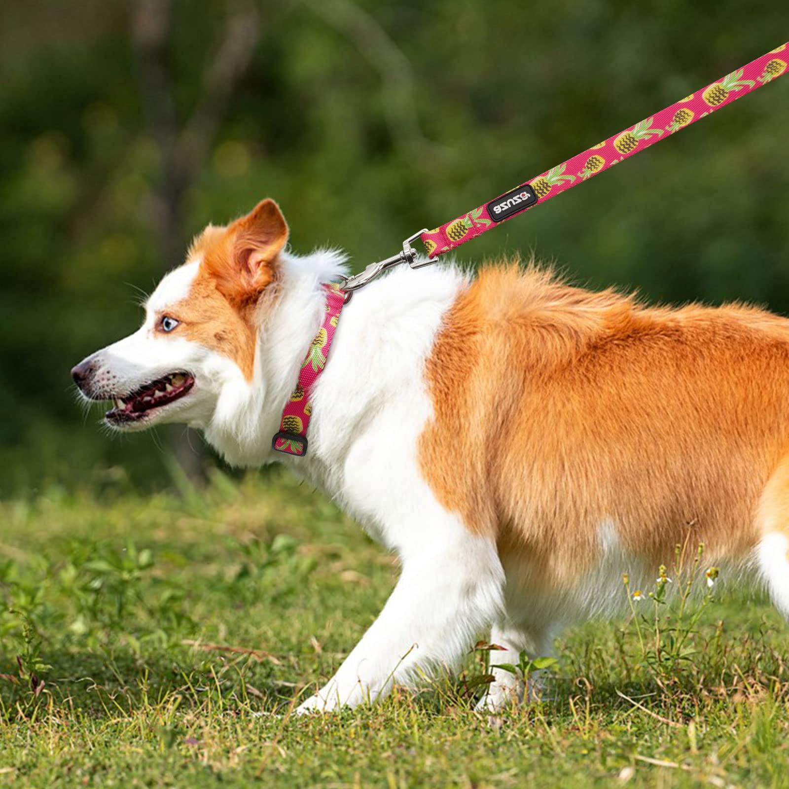 Azuza Dog Collar And Leash Set, Pineapple Patterns On Nylon Collar And Matching Leash, Great Option For Medium Dogs