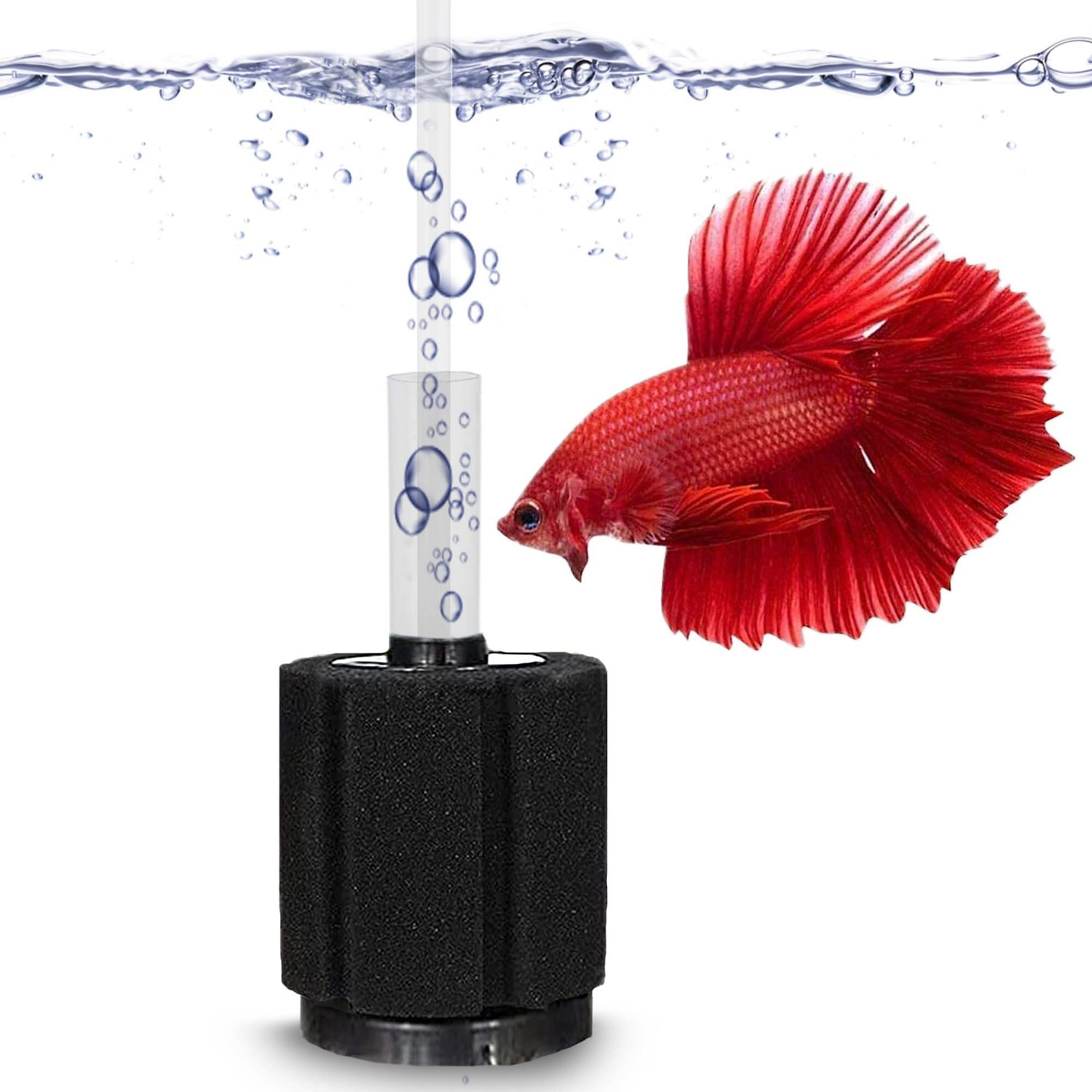 SunGrow 10-Gallon Betta Sponge Filter, Slow Current Fish Tank Filter, Perfect for Fry & Small Fish Aquarium, 3 Pieces
