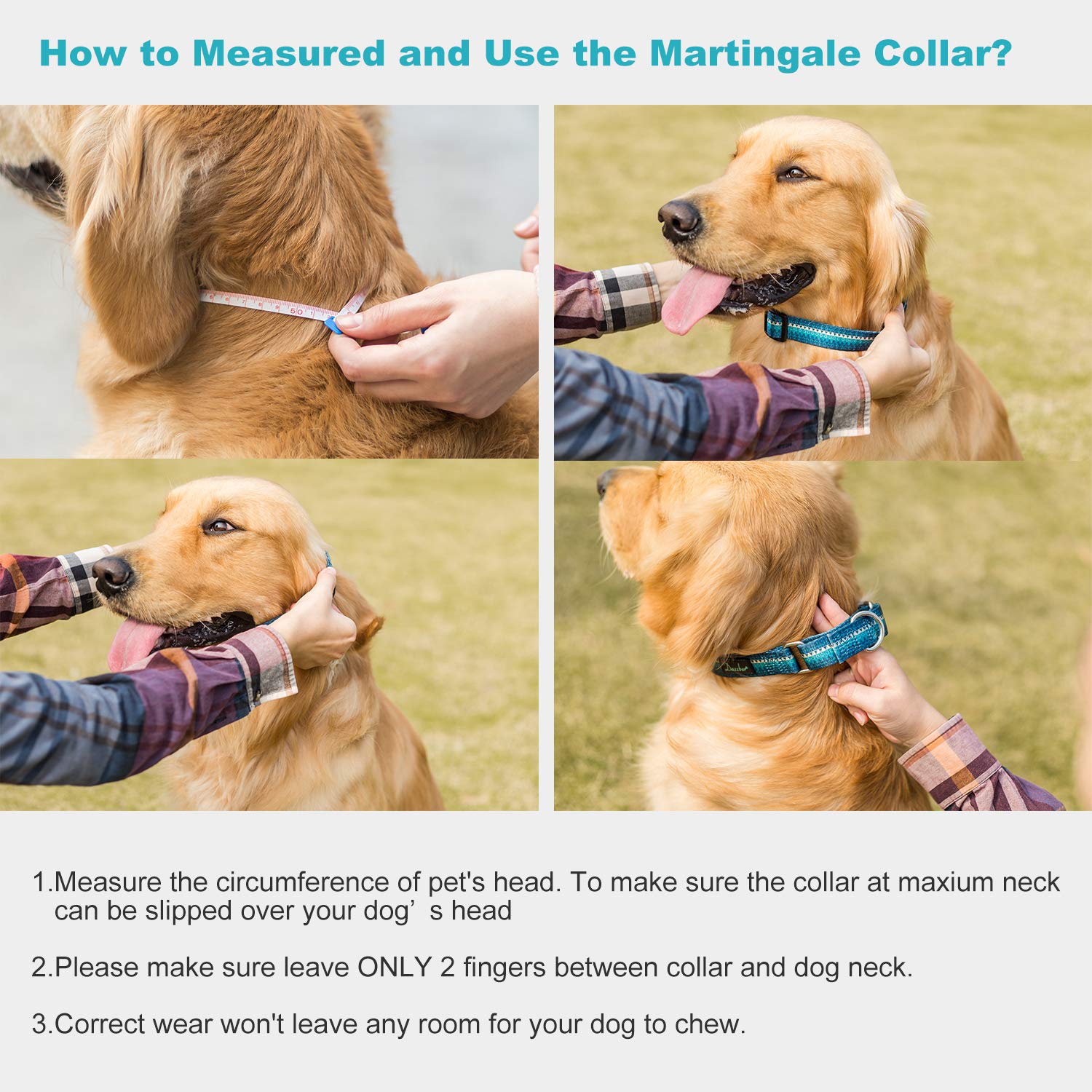 Dazzber Martingale Dog Collar - Soft Polyester, No Pull, Medium Size, Turquoise - Safety Training for Medium & Large Dogs