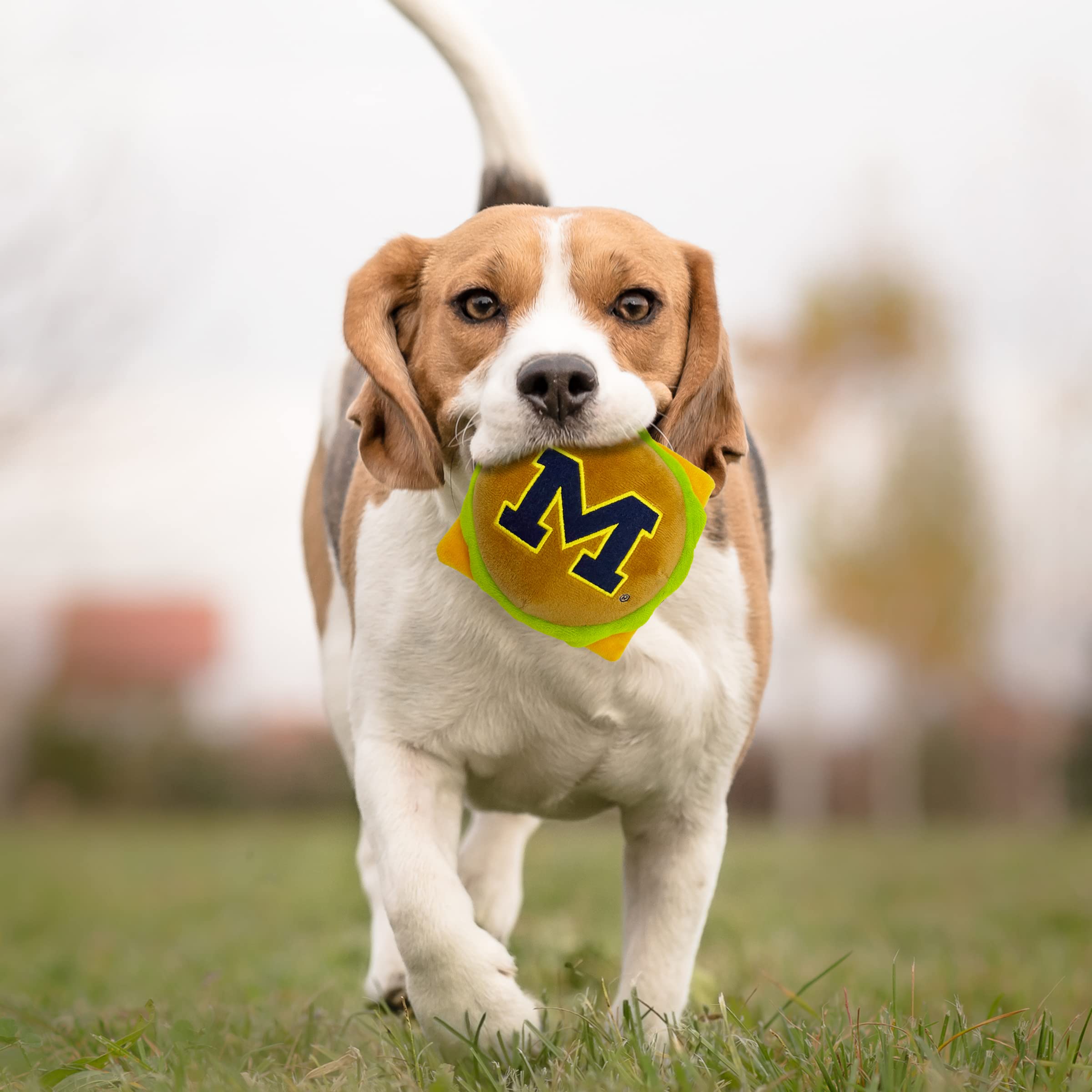Ncaa Michigan Wolverines Cheeseburger Plush Dog & Cat Squeak Toy- Cutest Stadium Hamburger Snack Plush Toy For Dogs & Cats With
