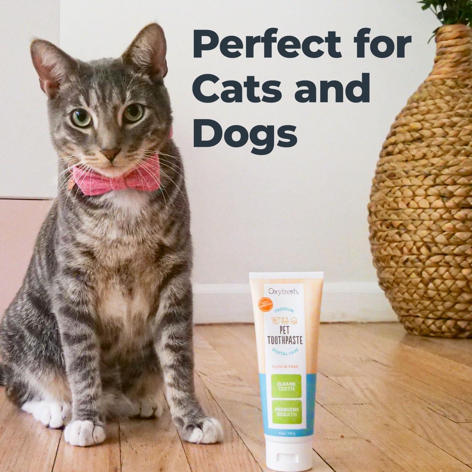 Oxyfresh Premium Dog Toothpaste - Best Dog Teeth Cleaning & Dog Plaque and Tartar Fighter - Safe for Cat Toothpaste Too - Vet Fo