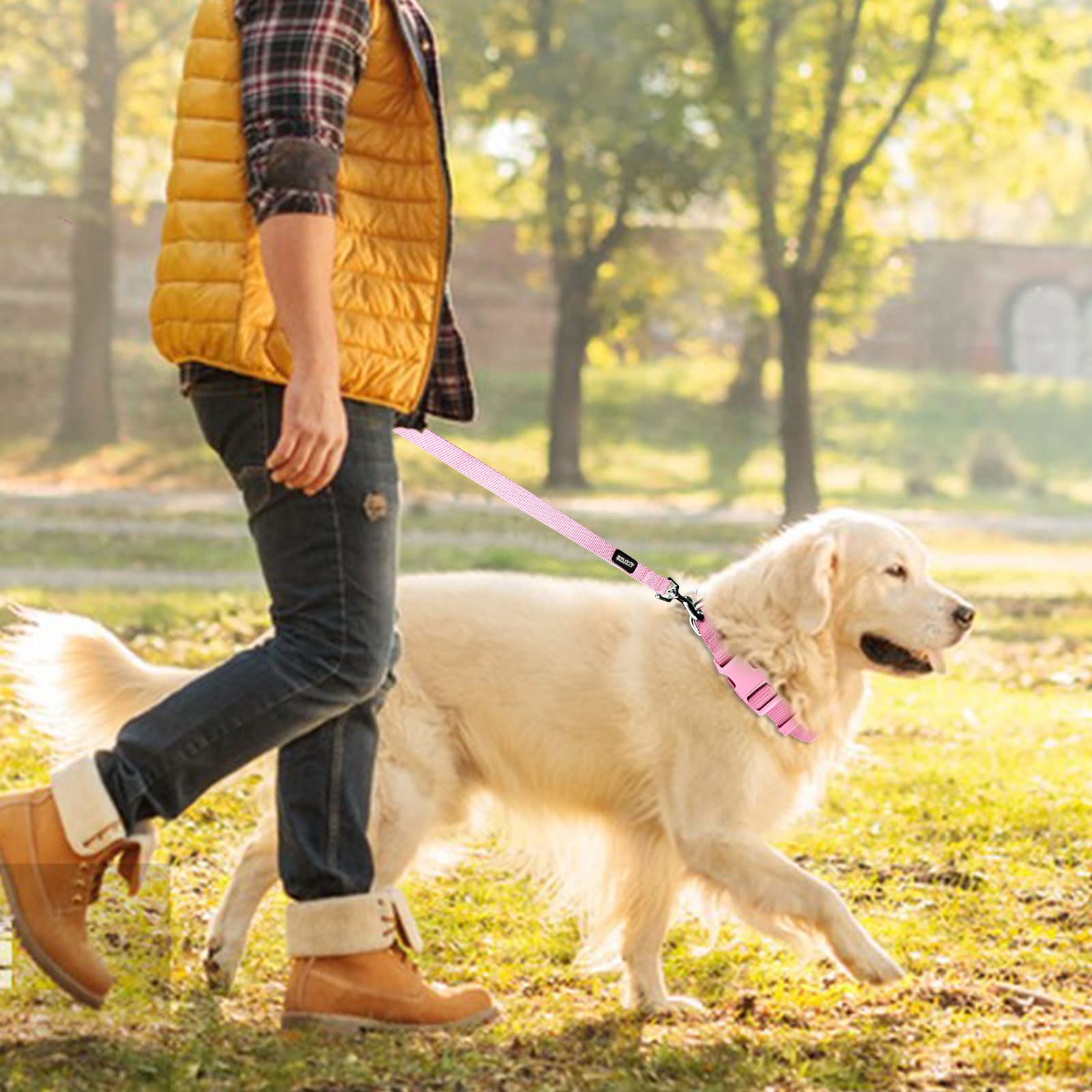 Azuza Nylon Dog Collar And Leash Set, Strong & Durable Basic Style Leash With Easy To Use Collar Hook, Available In Multiple Lengths For Puppy And Small Dogs, Pink,Xs
