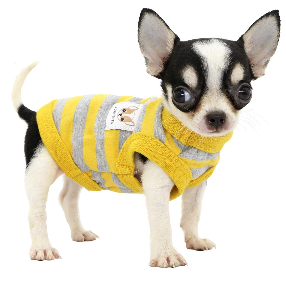 Lophipets 100% Cotton Striped Dog Shirts For Small Dogs Chihuahua Puppy Clothes Tank Vest-Yellow And Gray Strips/Xxs