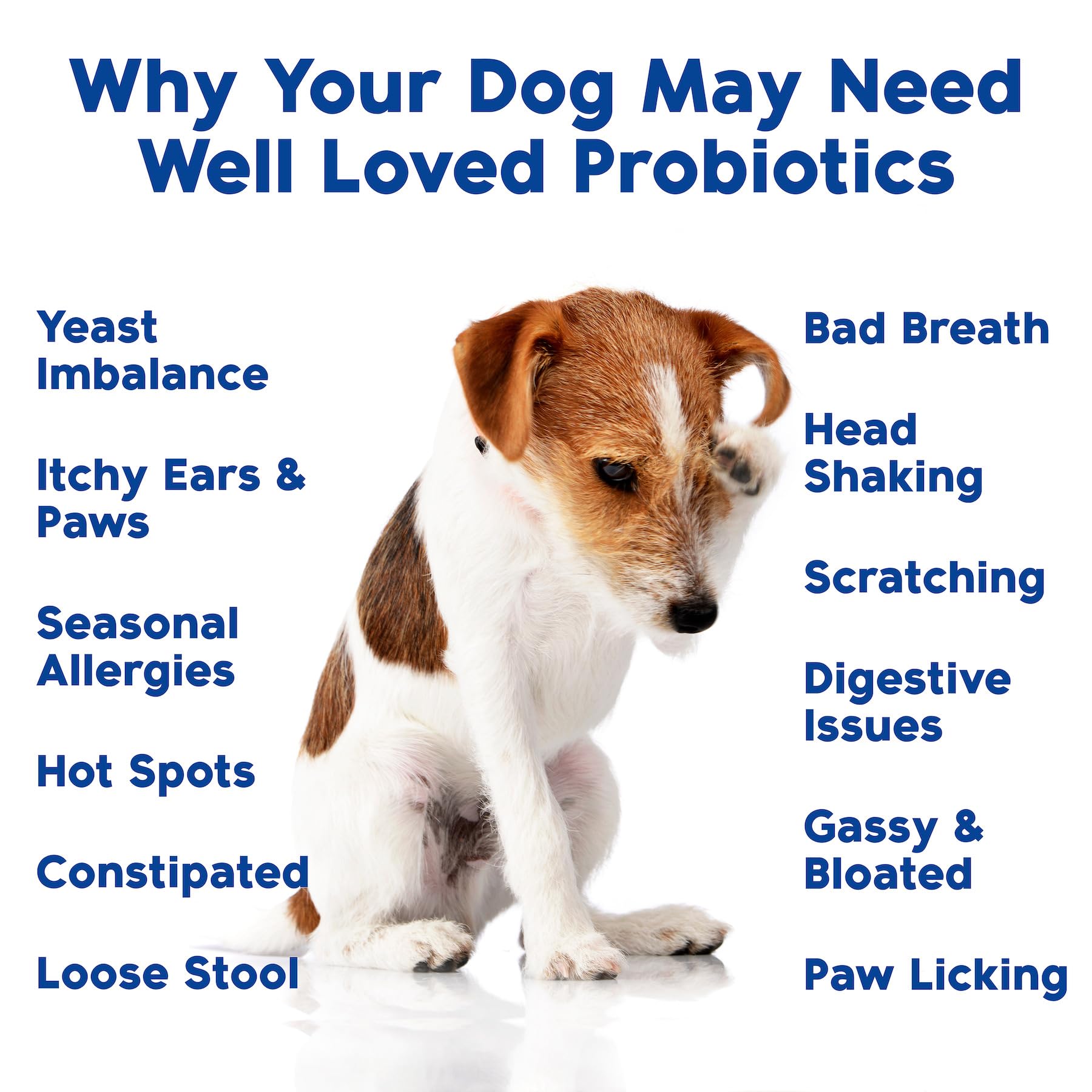 Well Loved Probiotics for Dogs, Dog Probiotics, Made in USA, Vet Developed for Gut Health, Yeast Balance, Itchy Skin, Diarrhea &