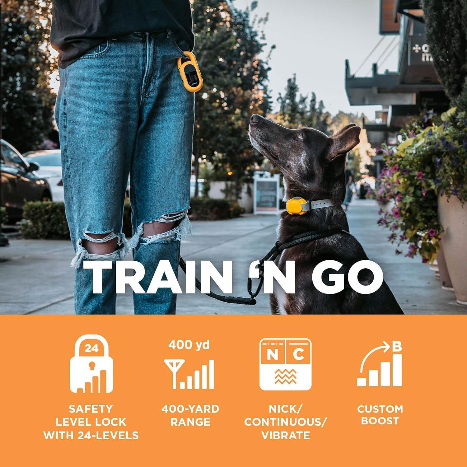Dogtra Cue Yellow - E-Collar For Dogs Training Collar With Remote - Training Made Easy For Everyday Dog Owners - Gentle Vibratio