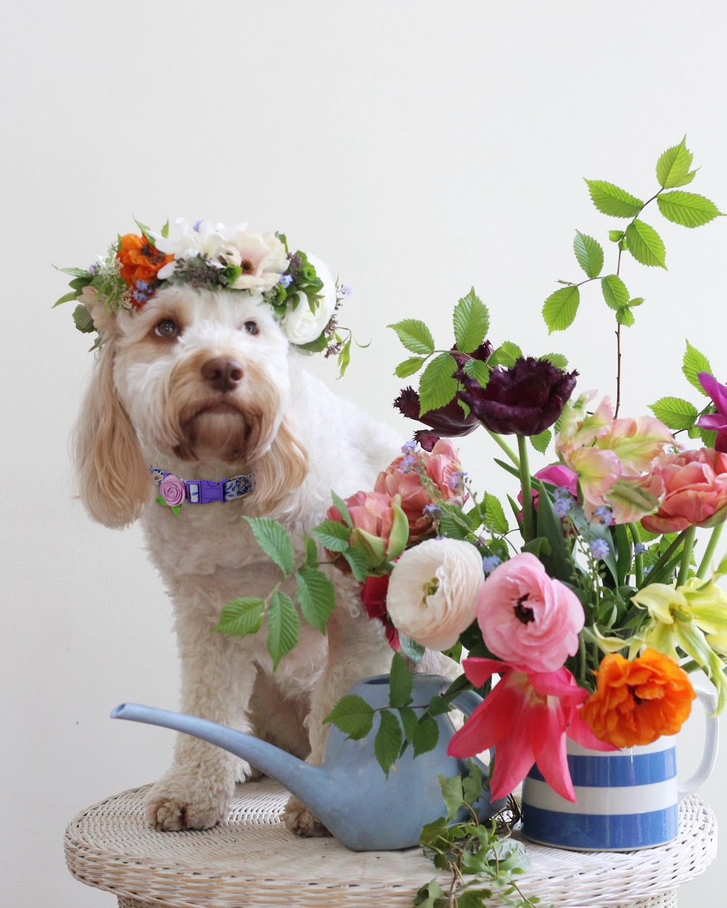 2 Pack Spring Dog Collar For Large Dogs, Quick Release Floral Dog Collar Girl With Flower Bow