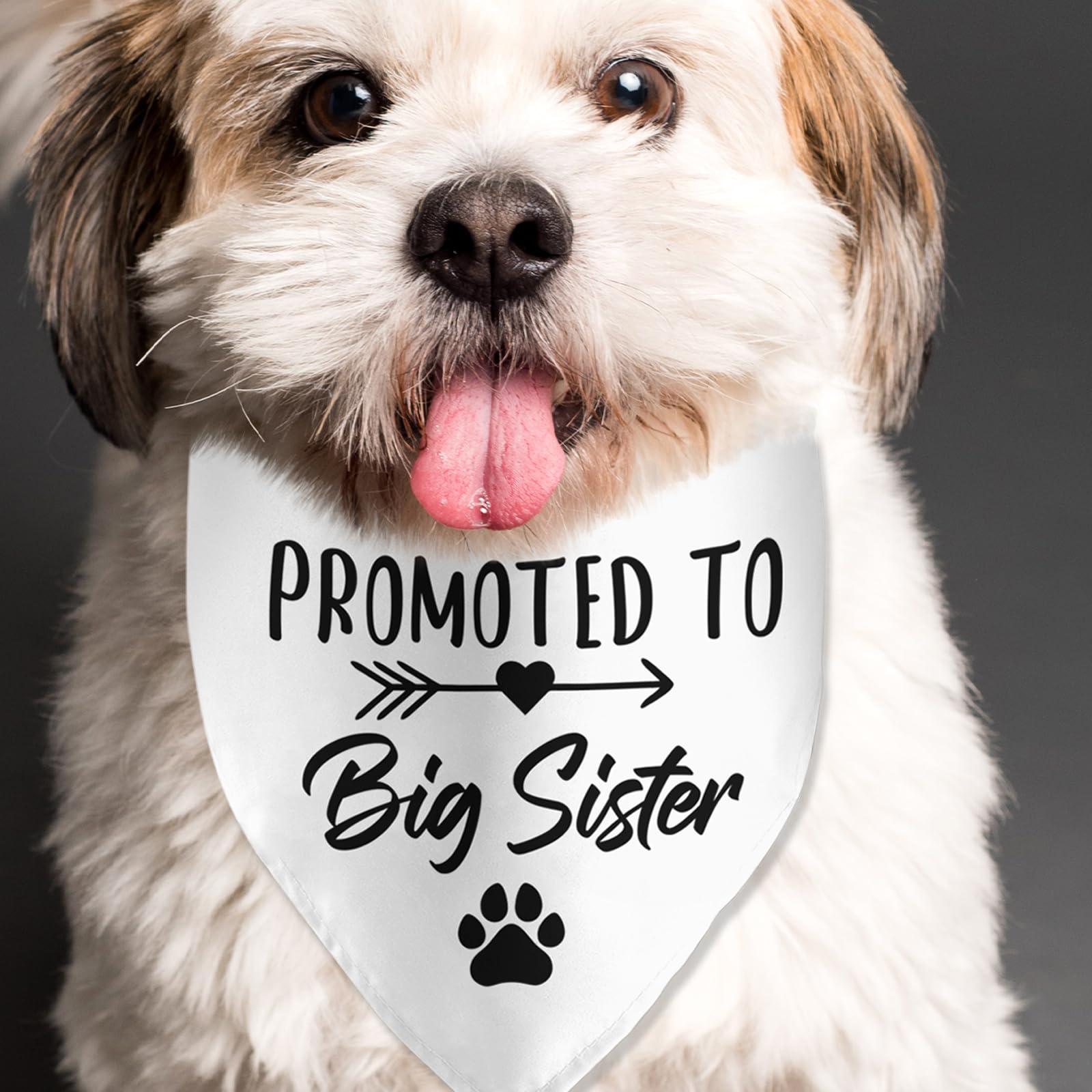 Promoted To Big Sister Dog Bandana Pregnancy Announcement Dog Bandana Pet Scarf Pet Accessories For Pet Dog Lover Pregnancy Reve