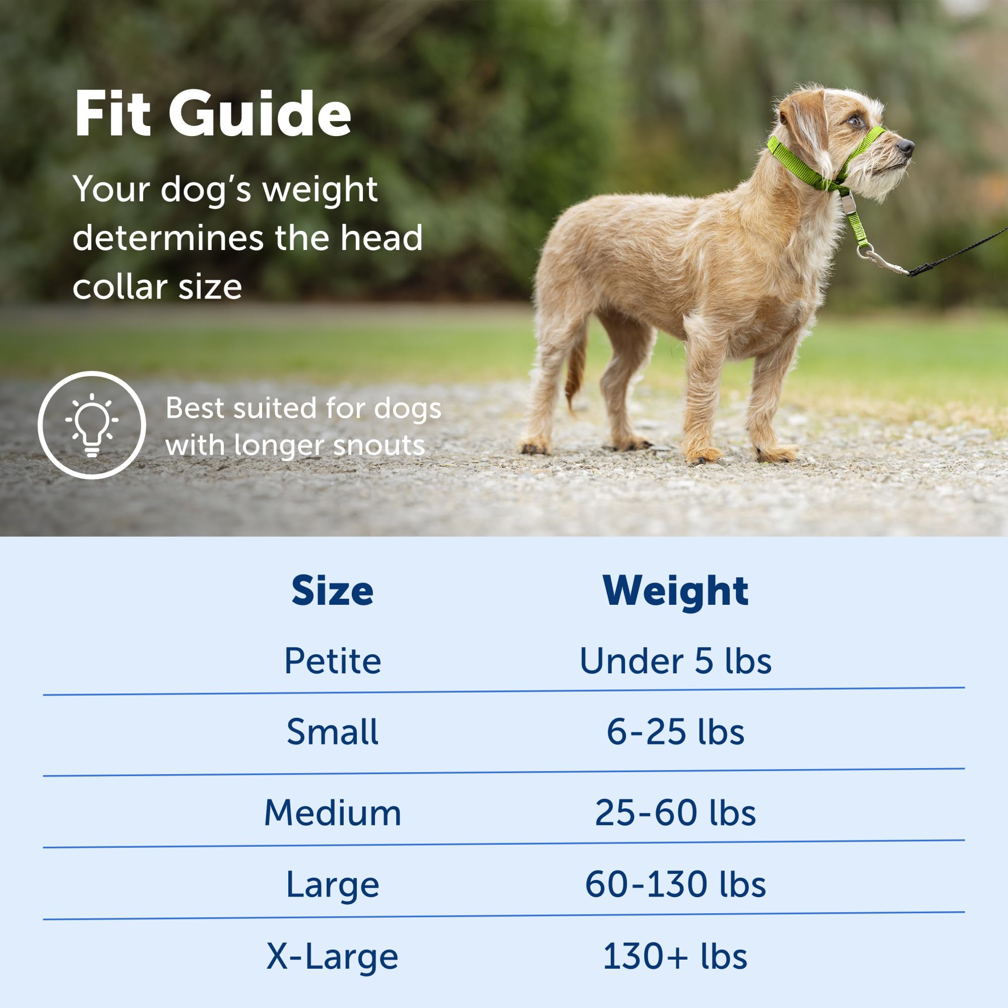 Petsafe Gentle Leader No-Pull Dog Headcollar - The Ultimate Solution To Pulling - Redirects Your Dog'S Pulling For Easier Walks - Helps You Regain Control - Small, Fawn