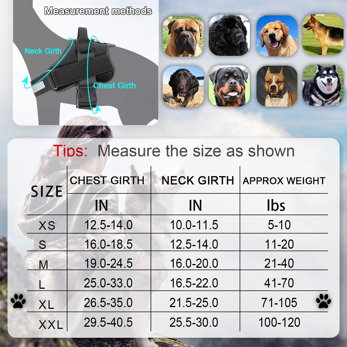 Bolux Dog Harness, No-Pull Reflective Dog Vest, Breathable Adjustable Pet Harness With Handle For Outdoor Walking - No More Pulling, Tugging Or Choking (Black, Xl)