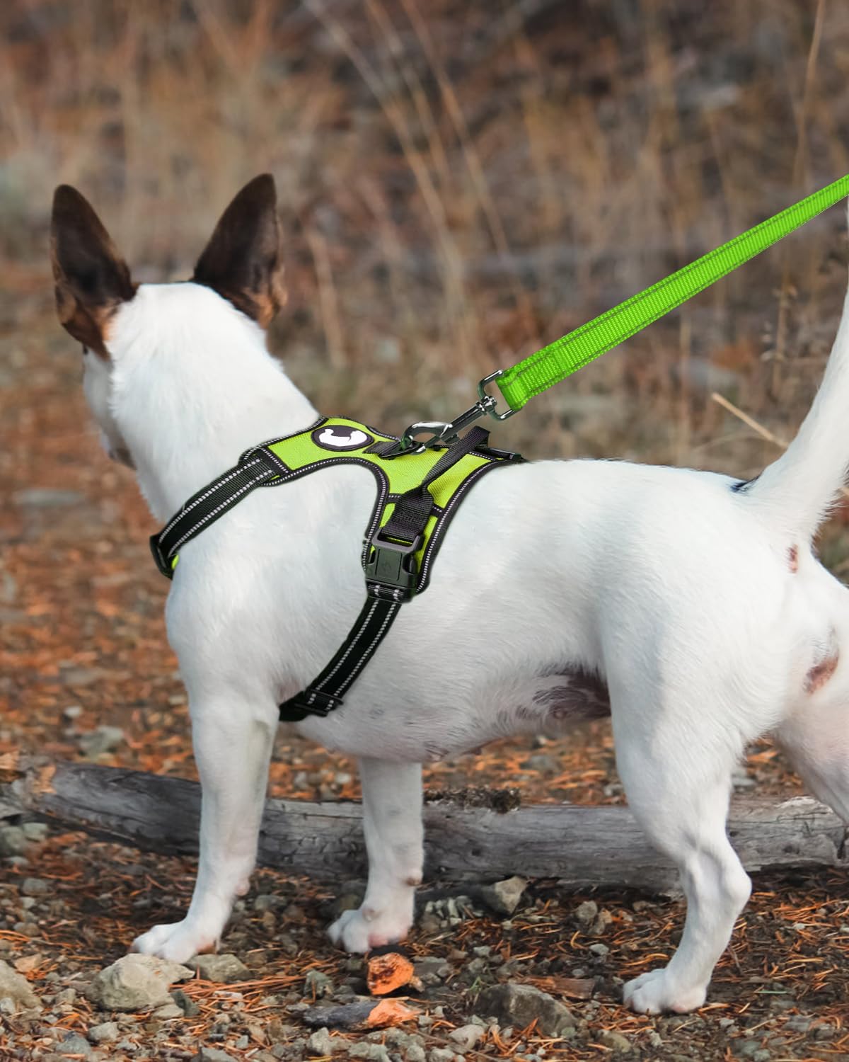 Joytale Double-Sided Reflective Dog Leash, 6 Ft/5 Ft/4 Ft, Padded Handle Nylon Dogs Leashes For Medium & Large Dogs Walking, Green, 5Ft