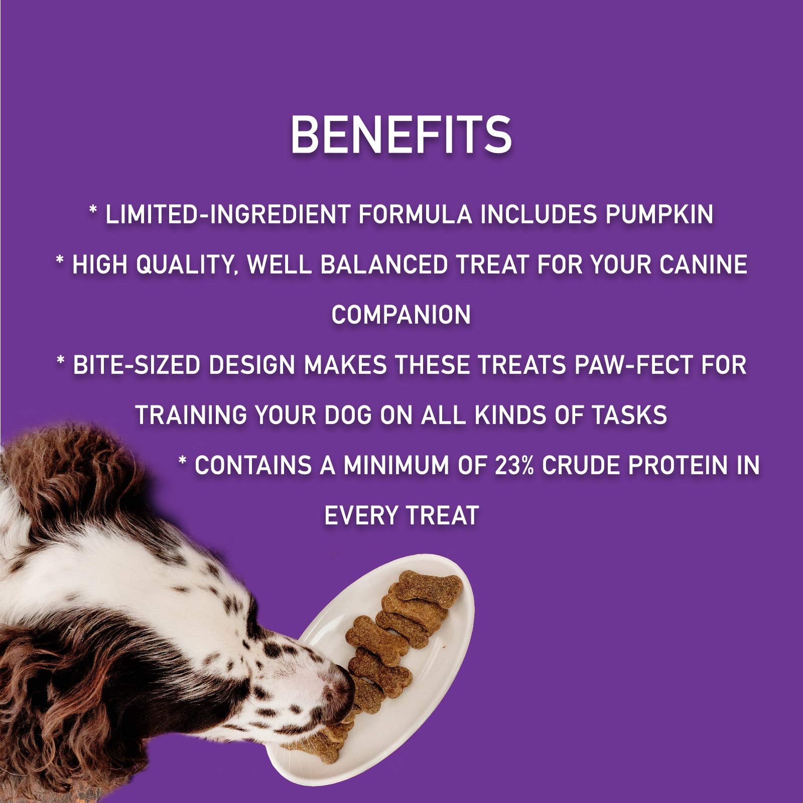 Zignature Salmon Limited Ingredient Formula Biscuit Dog Treats 12oz