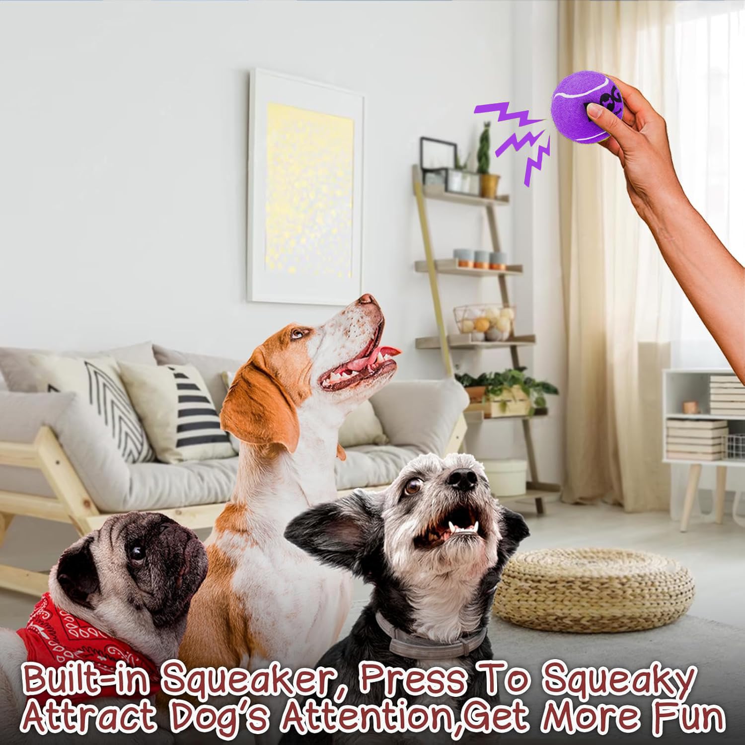 INSUM Squeaky Dog Balls - Purple Tennis Balls for Dogs, Medium 2.5'', 4 Pack
