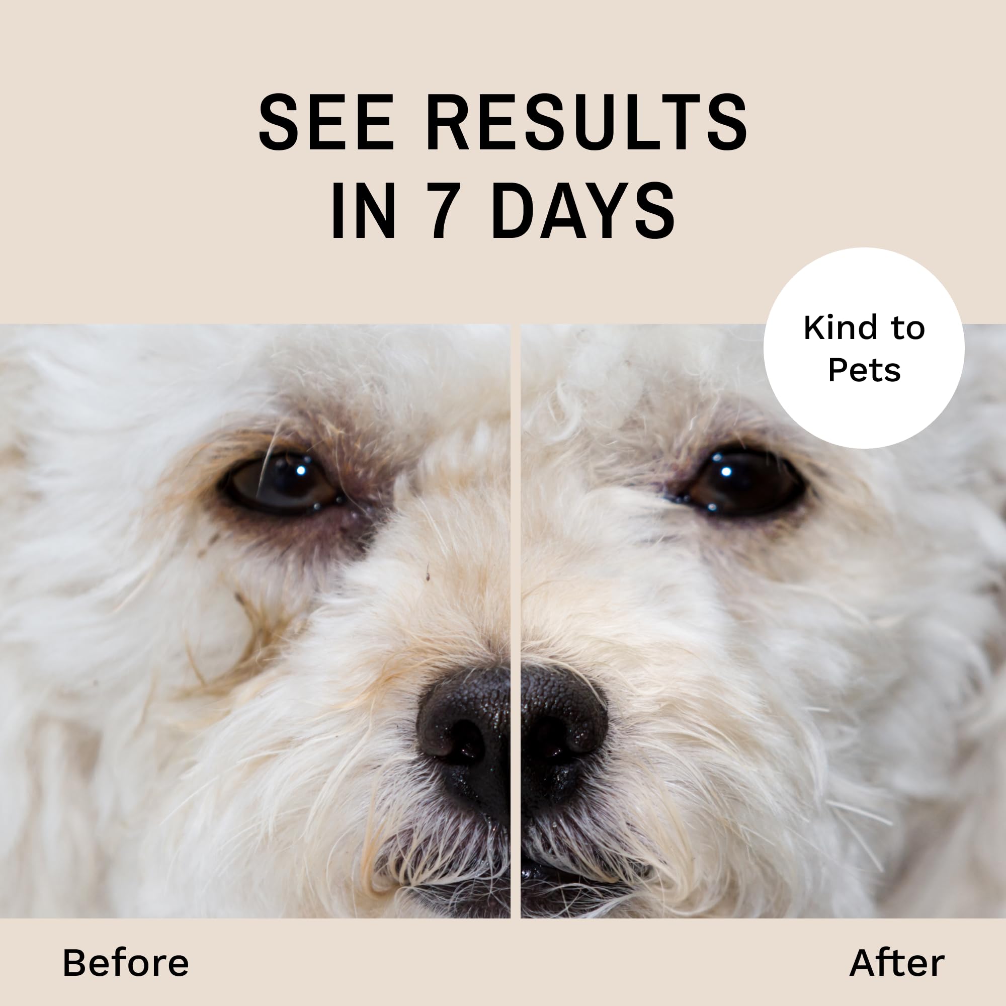 Eye Envy Dog Tear Stain Remover Starter Kit. 100% Natural, Safe. Contains: Stain Solution, Applicator Pads, and Stain Powder. Te