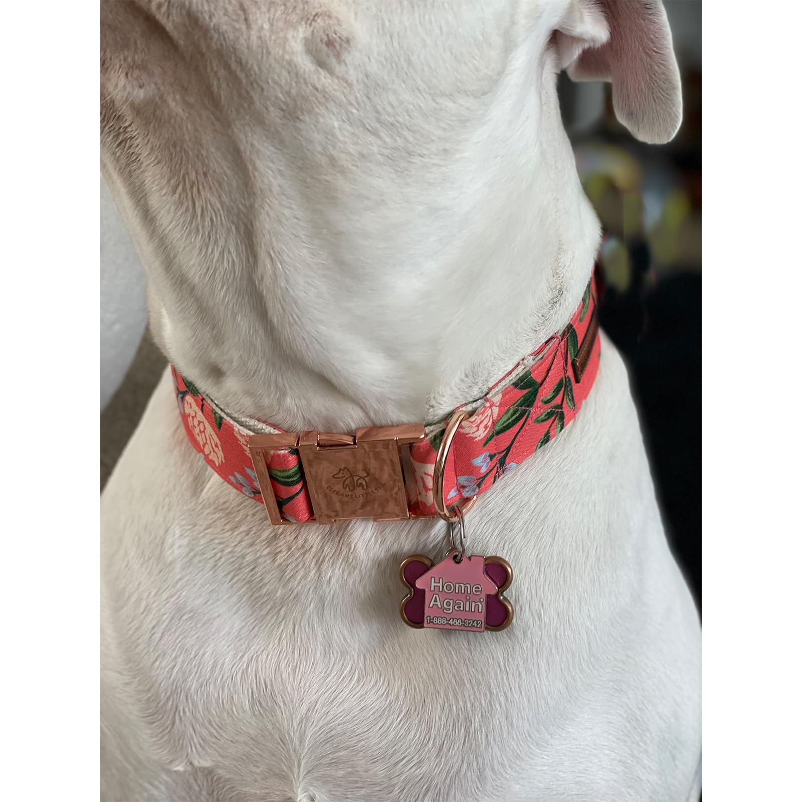 Elegant Little Tail Dog Collar, Pink Floral Print Pet Collar Summer Dog Collar Pet Collar Dog Cotton Durable Dog Collar Metal Bu