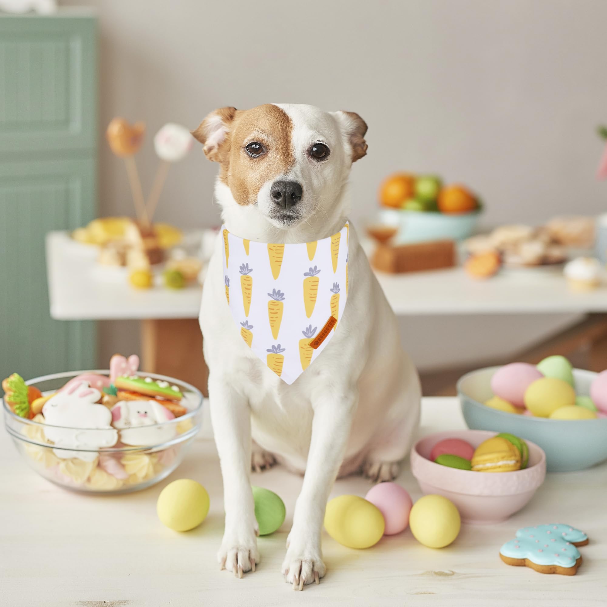 Adoggygo Easter Dog Bandana, Carrot Rabbit Pet Scarf, Premium Durable Fabric, Easter Bandanas For Medium Large Dogs Pets (Large)