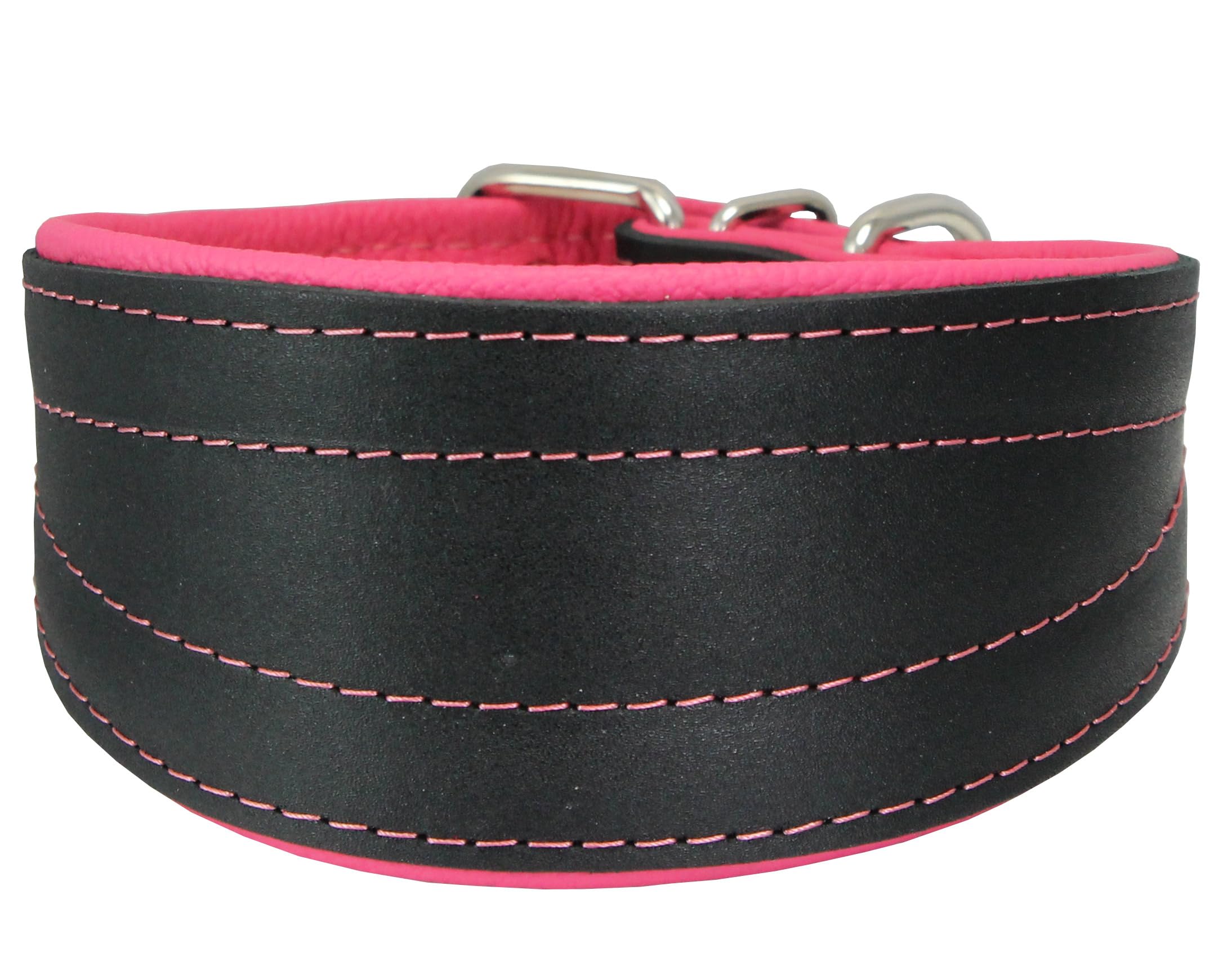 Real Leather Extra Wide Padded Tapered Dog Collar Glossy Black Greyhound Saluki Deerhound Lurcher Whippet Dachshund (10''-11.25'