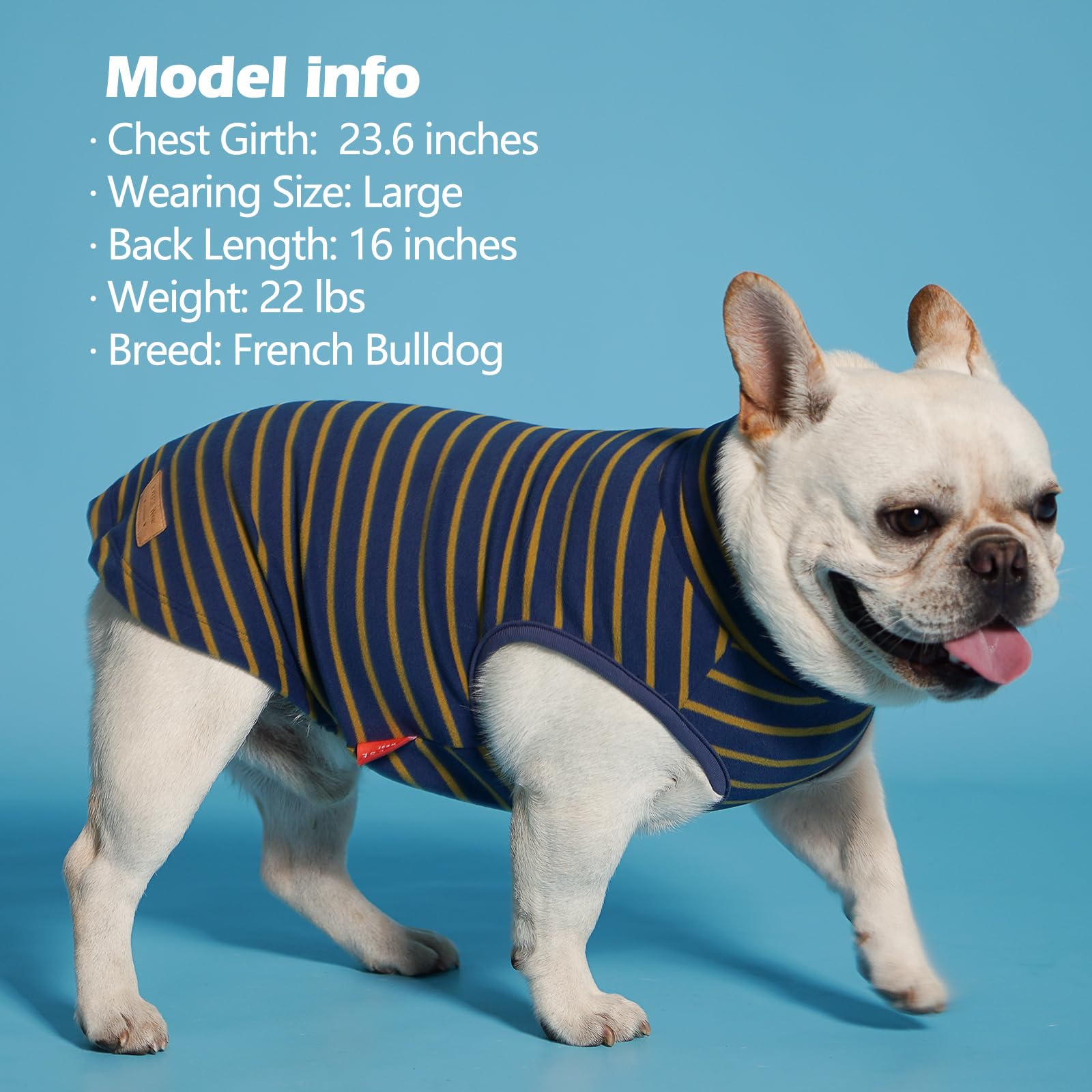 Kyeese 2Pack Dog Sweater Pullover Dog Sweaters For Medium Dogs Male Warm Dog Coats Stretchy Dachshund Clothes Soft Dog Sweatshirt Turtleneck Dog Clothes