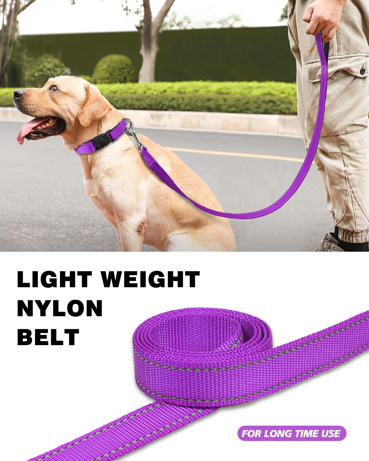 Erbine 4FT Reflective Nylon Dog Leash with Soft Padded Handle for Walking, Running and Training, Supports Small Medium and Large
