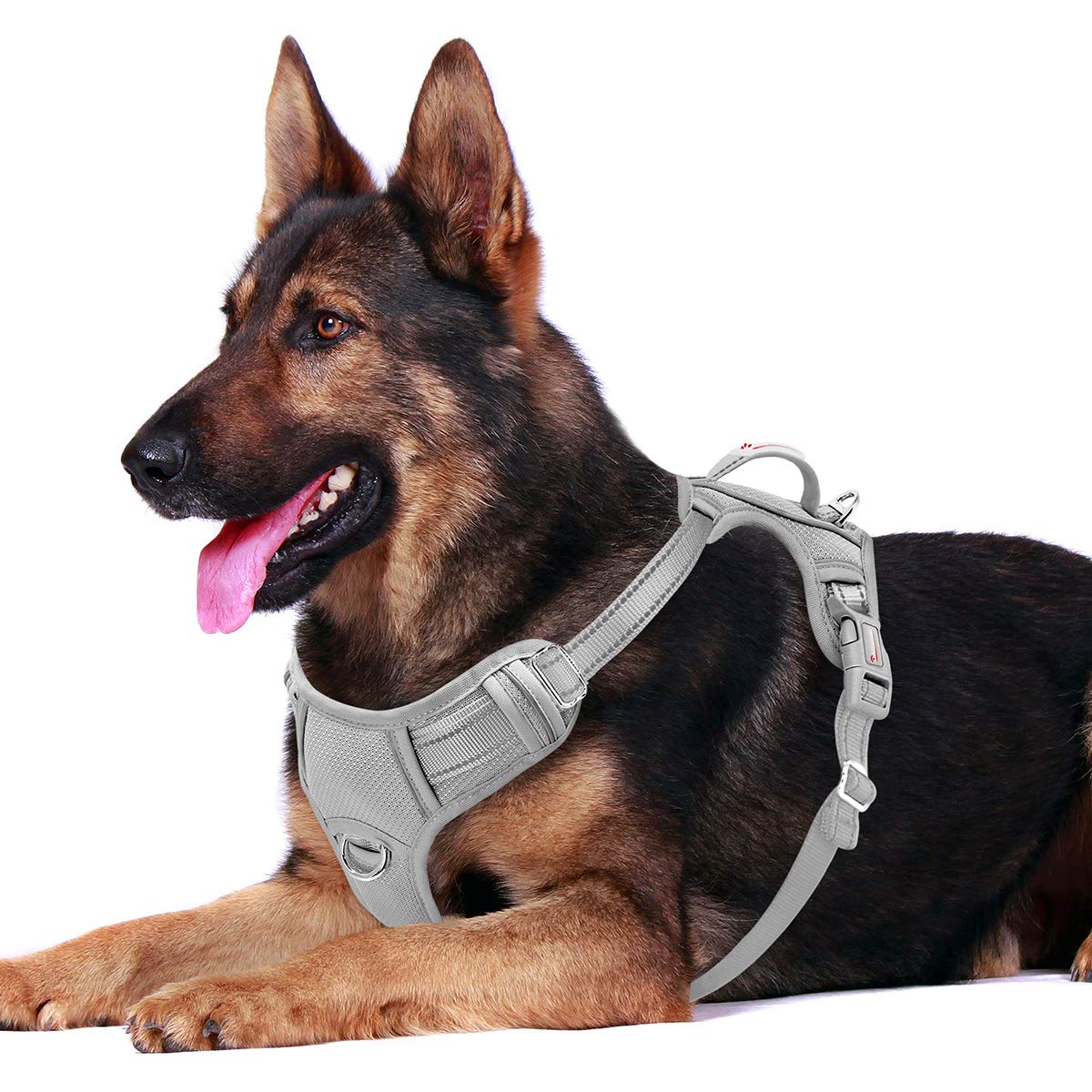 BARKBAY No Pull Dog Harness Front clip Heavy Duty Reflective Easy control Handle for Large Dog Walking with ID tag Pocket(grey,X