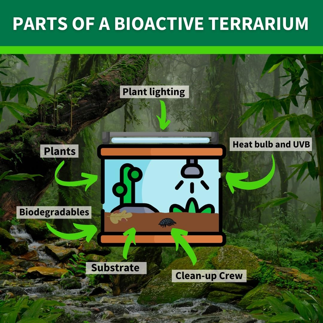 The Bio Dude Terra Sahara Bioactive Reptile Substrate 36 Quarts For Terrariums And Vivariums. Bioactive Substrate For Bearded Dr