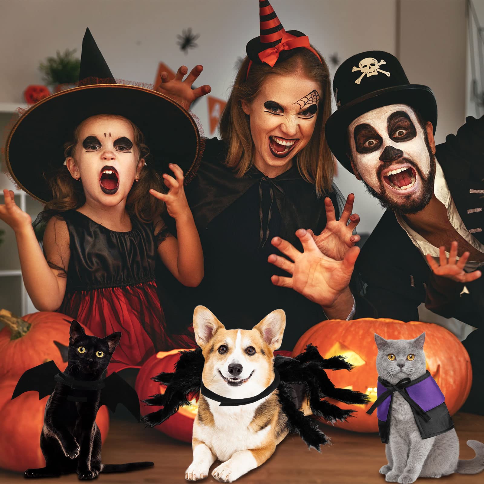 3 Piece Halloween Cat Dog Costume Set, Pet Bat Witch Vampire Pumpkin Cloak Giant Imitation Pet Spider Pets Costume Cosplay Accessories Halloween Pets Decoration For Dogs Puppy Cats (Cool,M)