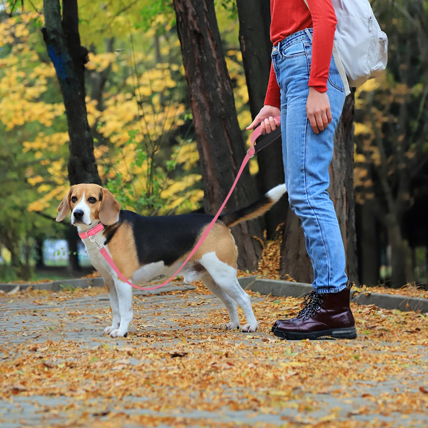 Usunyvora Reflective Nylon Dog Leash For Walking,Strong Dog Leash With Padded Handle For Medium And Large Dogs,6 Ft,Hot Pink