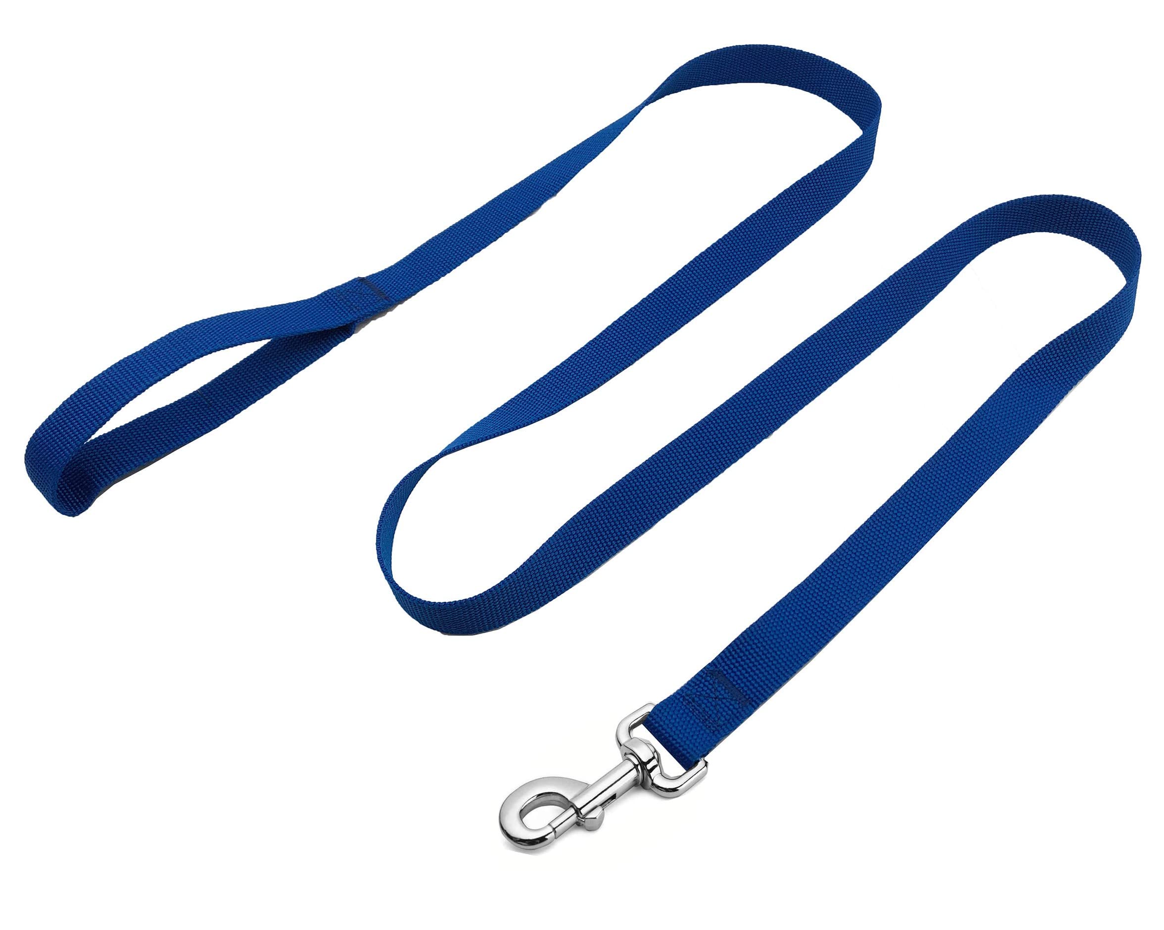 Strong Nylon Dog Leash, 4FT/ 5 FT/ 6FT Dog Leashes for Medium Large Dogs(5FT, Blue)