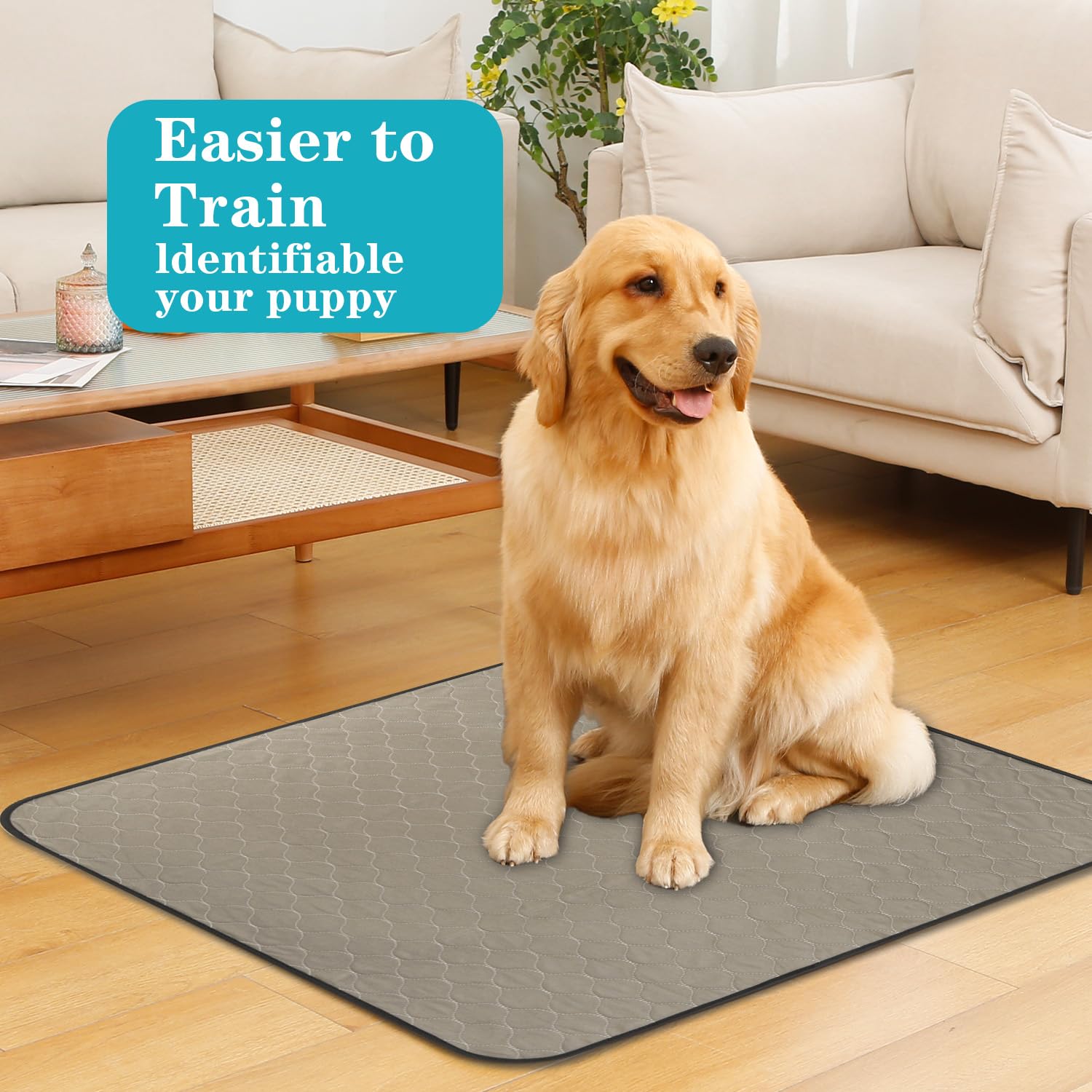 Bunlitent Washable Pee Pads For Dogs 36'' X 72'', 3 Pack, Reusable Puppy Pads, Dog Training Pads With Quick Dry, Large Anti-Slip