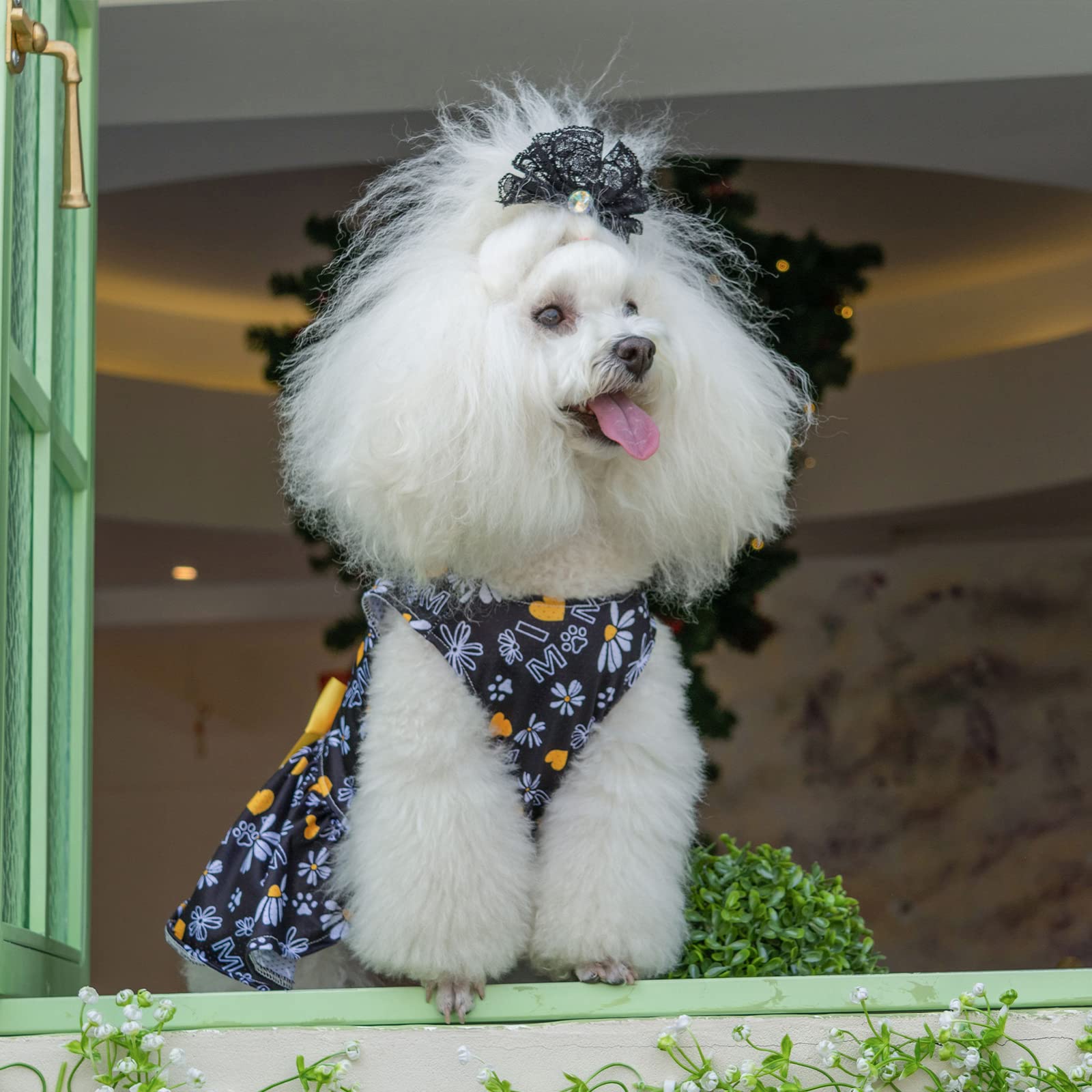 Cutebone Dog Mesh Dress Puppy Sundress Pet Outfit Summer Fashion For Small Dogs Girl Cat Clothes Bf13L
