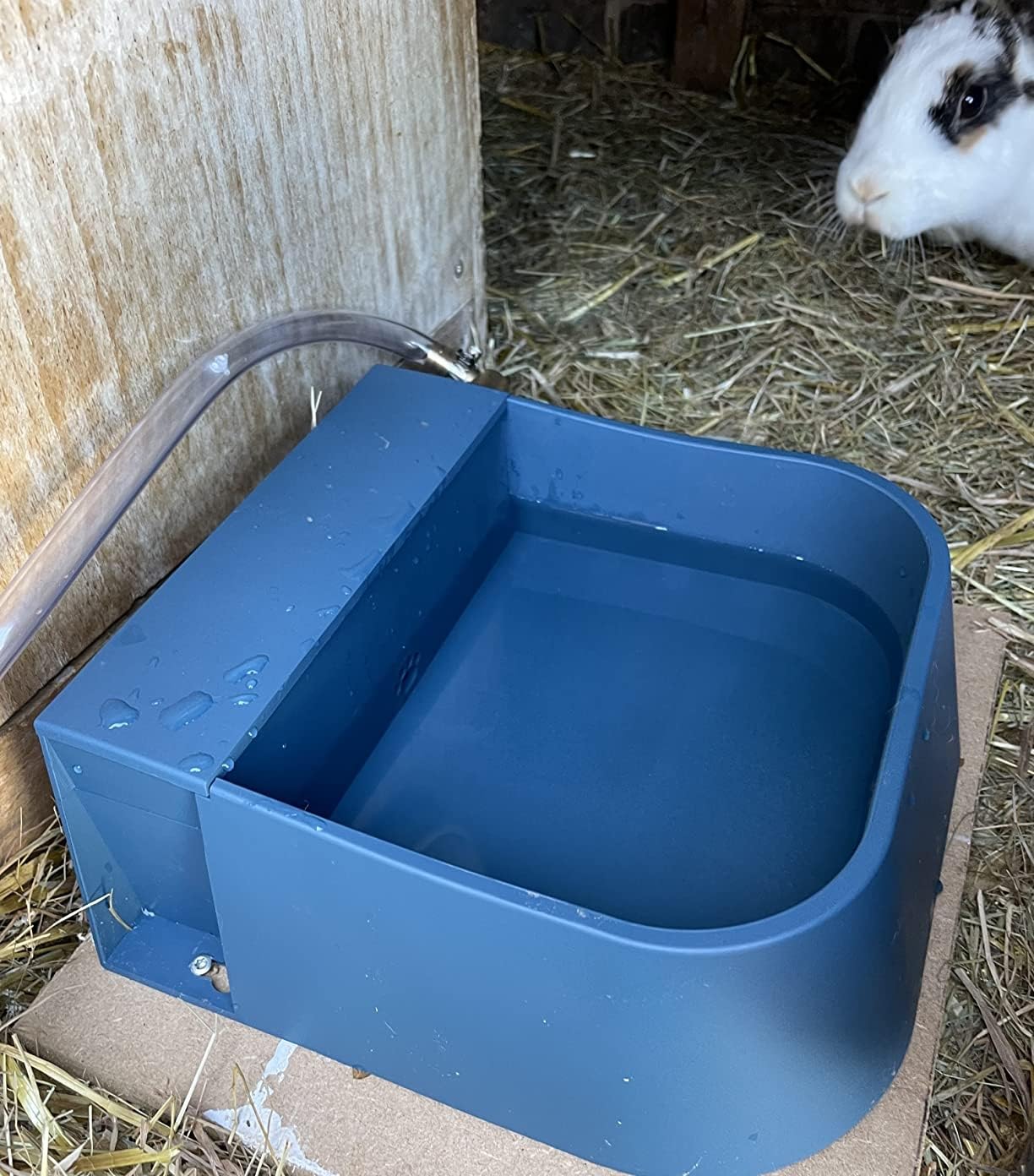 Enjoying 2L Automatic Dog Water Dispenser - Indoor/Outdoor Pet Waterer with Float Valve for Dogs, Cats & Livestock