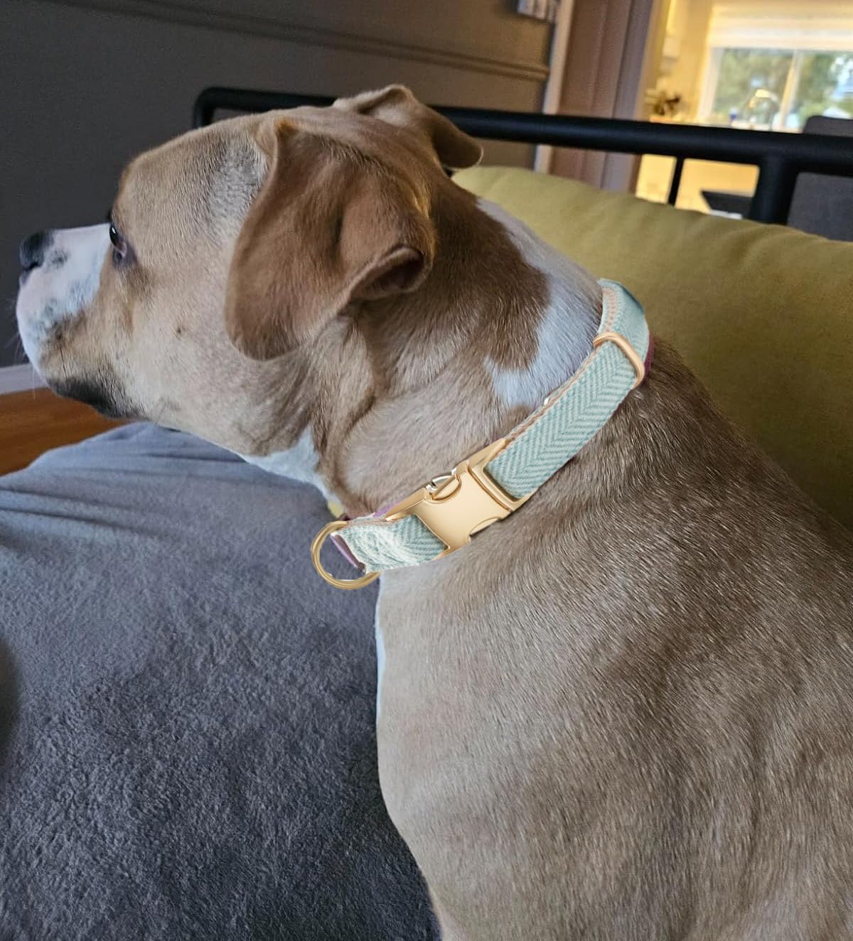 YUDOTE Soft Cotton Hemp Dog Collar with Metal Buckle Adjustable Tweed Dog Collars for Small Medium Large Dogs(Blue,Large)