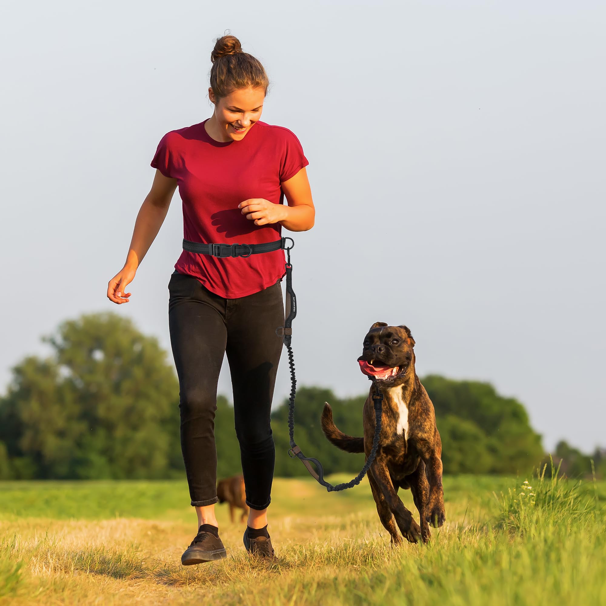Mile High Life | Retractable Hands Free Dog 7Ft Leash | Waist Running Adjustable | Reflective Dual Black Bungees | Dual Handles | Small Medium Large Dogs | (Brown)