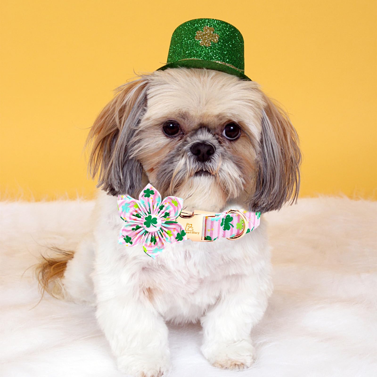 Lionheart Glory St. Patrick'S Day Collar With Flower-Lucky Clover Shamrock Dog Bow - Pink Spring Trefoil Flowers - Adjustable He