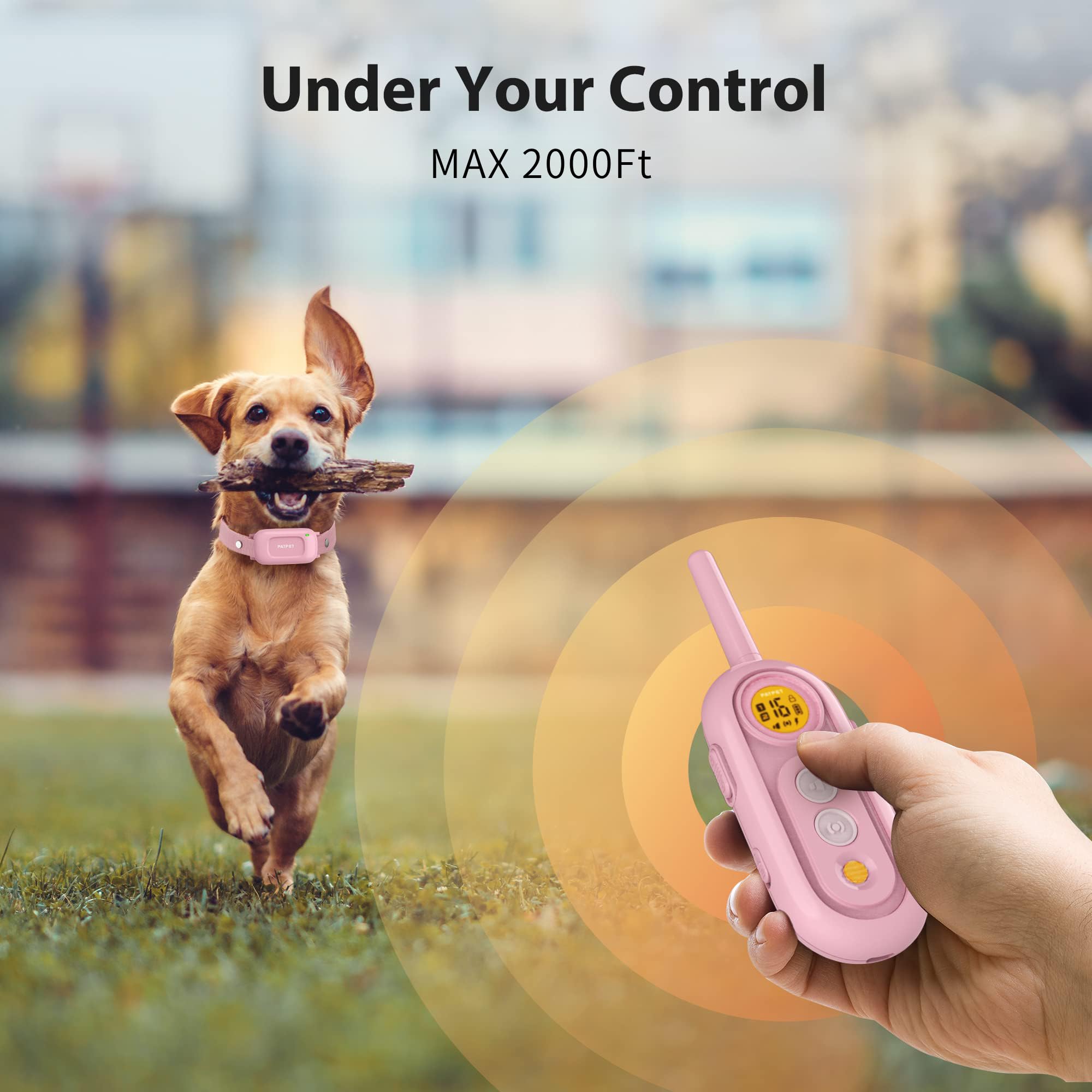 Patpet Dog Shock Collar For Medium Dogs- Dog Training Collar With Remote, Shock Collar For Small Dogs 10-100Lbs, Rechargeable Ip