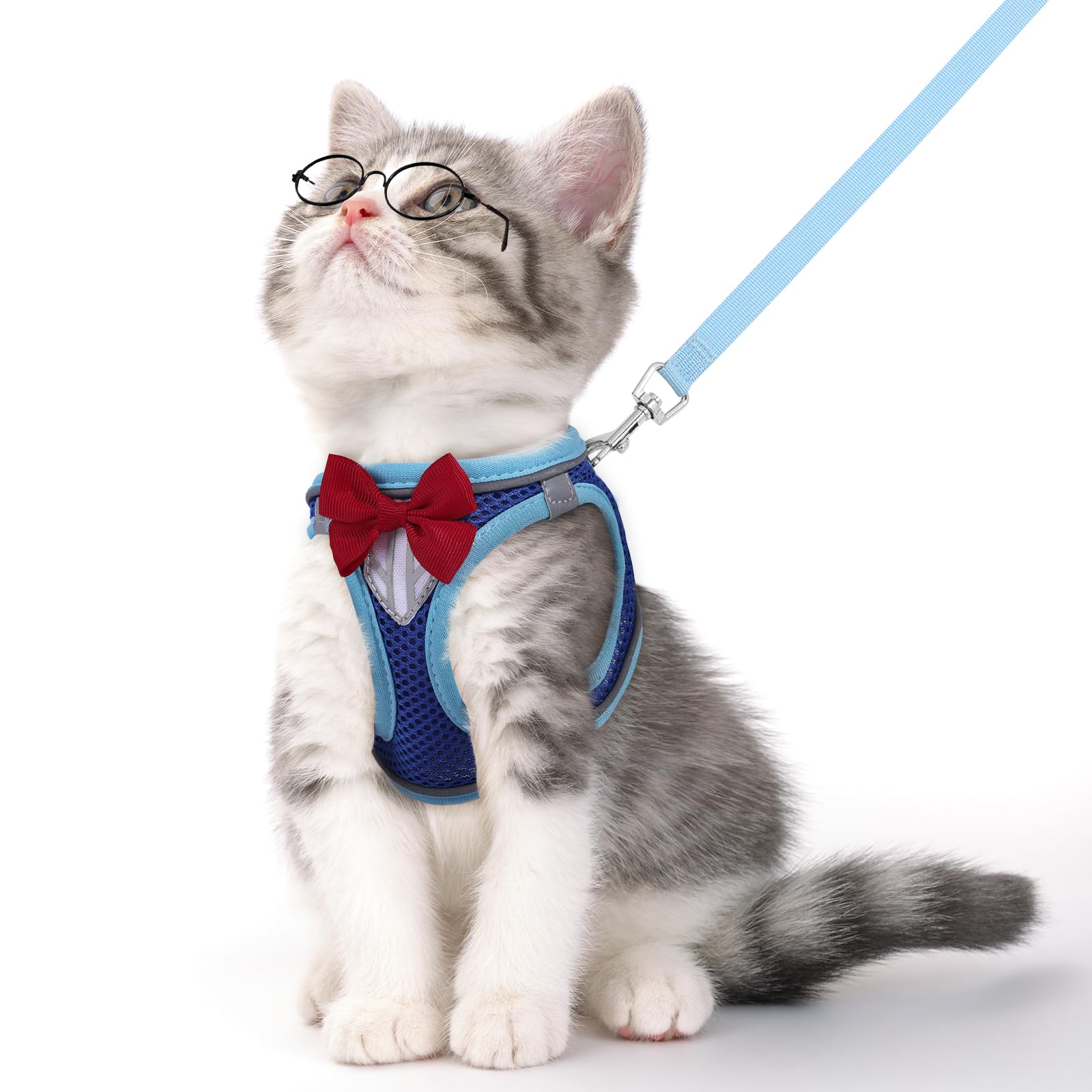 NCMAMA Cat Vest Harness and Leash Set for Walking, Escape Proof, Adjustable Kitten Harness, Breathable Mesh with Reflective Stri