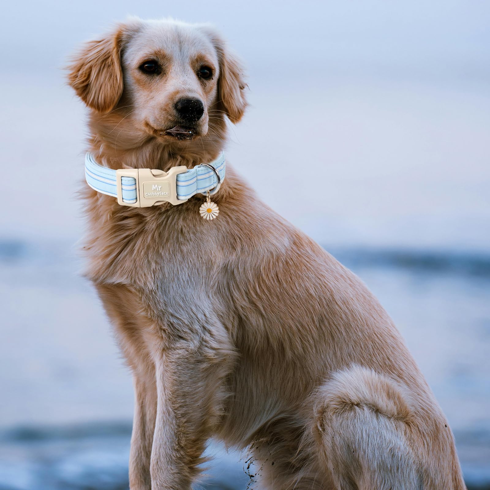 Mr.Chubbyface Cotton Dog Collar, Cute Blue Summer Puppy Collar With Plastic Buckle, Adjustable Soft Natural Fabric Pet Collar Fo