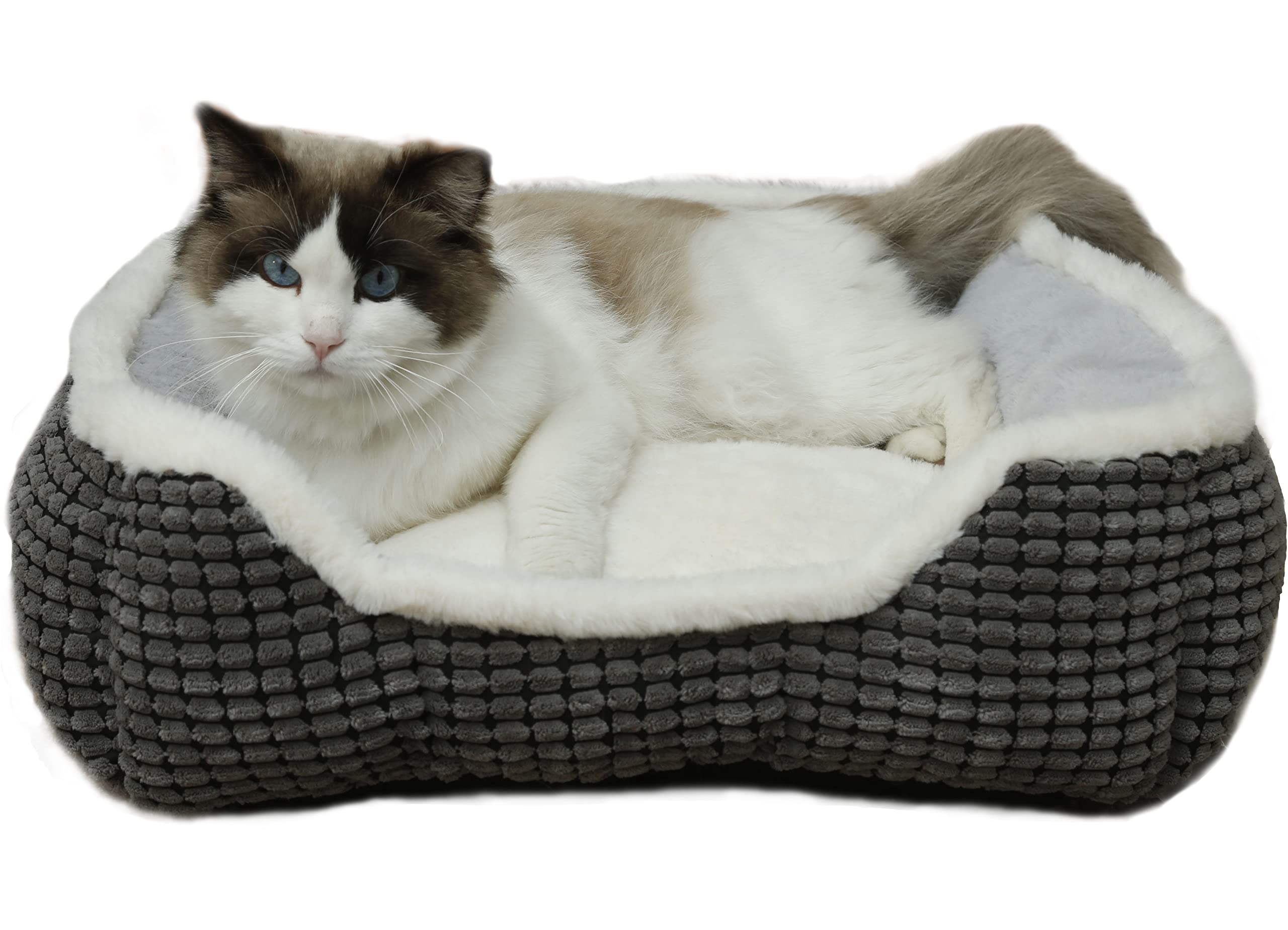 Dog Bed For Medium Dogs,Cute Cat Bed For Indoor Cats,Washabel Super Soft Durable Kitten Bed And Puppy Bed, Anti-Slip & Water-Res