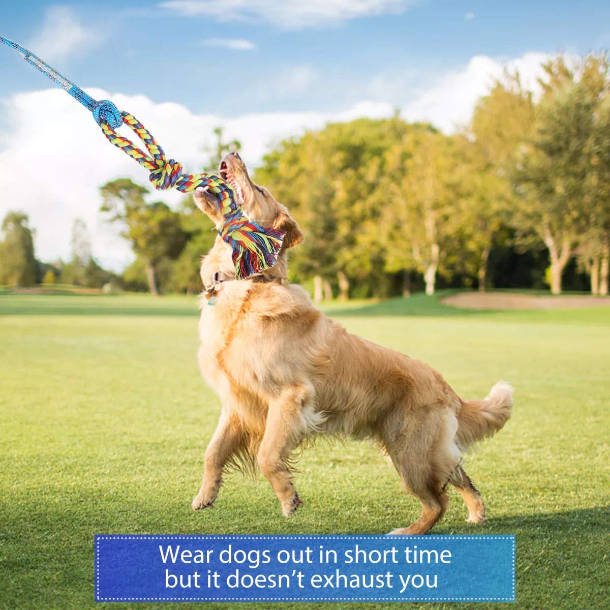 DIBBATU Flirt Pole for Dogs - Interactive Chase & Tug Toy for Large, Medium, & Small Dogs - Outdoor Exercise & Training Tool