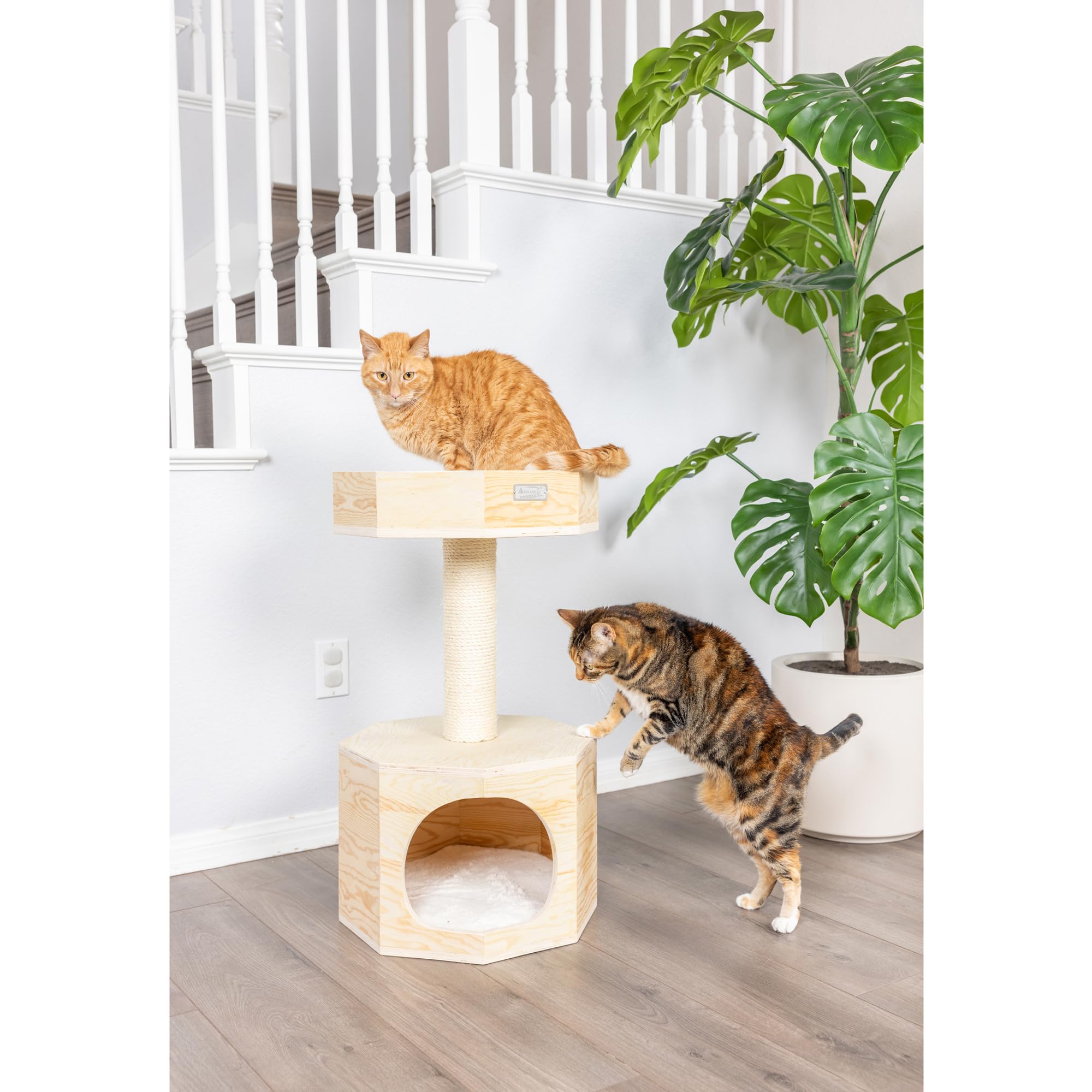 Armarkat Solid Wood Sturdy Cat Tree Condo House Furniture with Cushion S2906, Tan, 2 Levels
